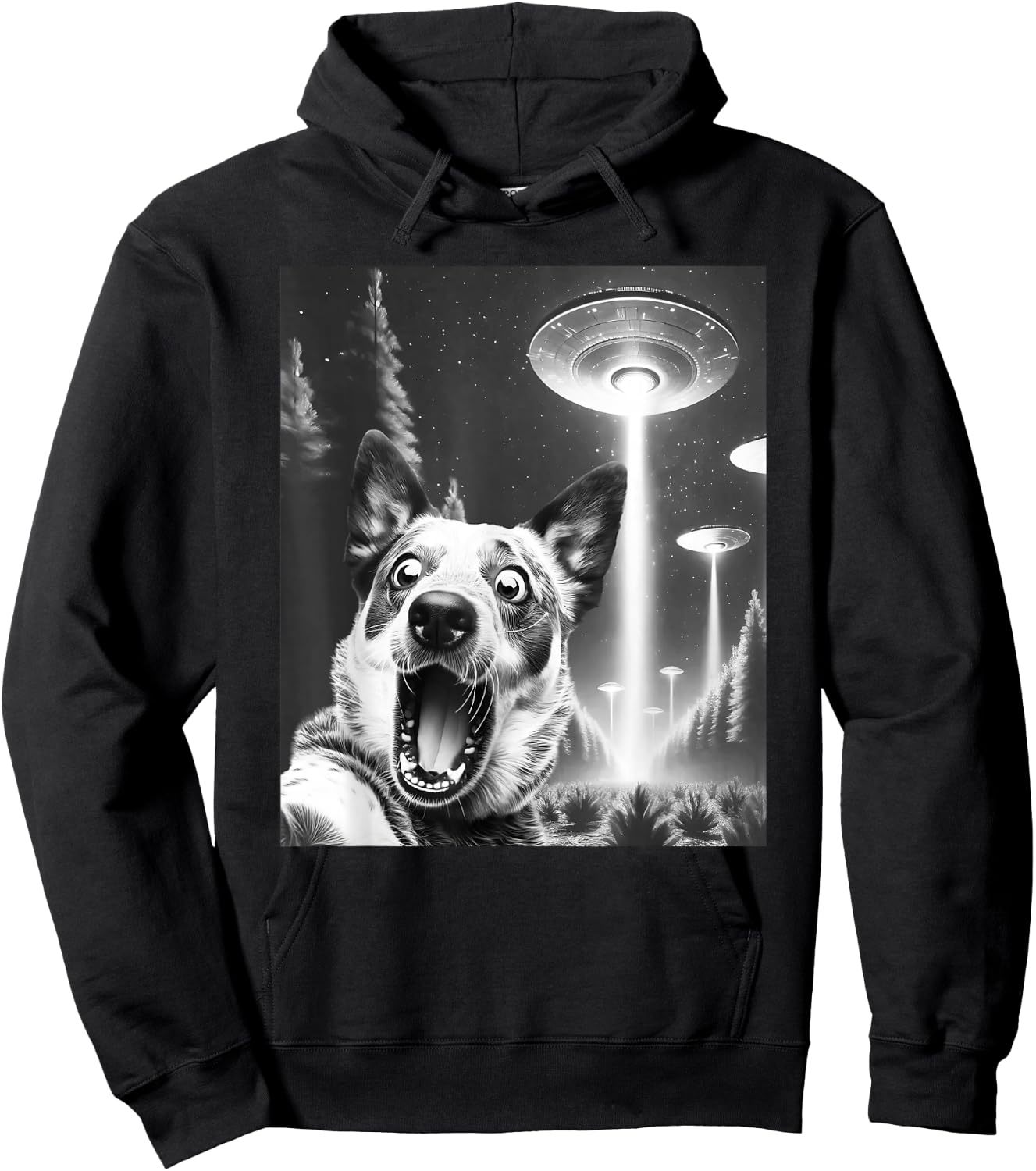 Funny Blue Heeler Alien UFO Taking a Selfie Dog Mom Dad Hoodie - Hoodie | Black