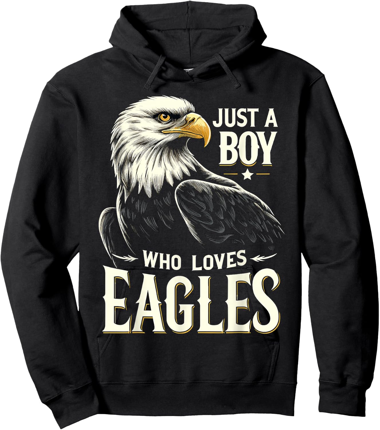 Just a Boy who loves Eagles Hoodie - Hoodie | Black