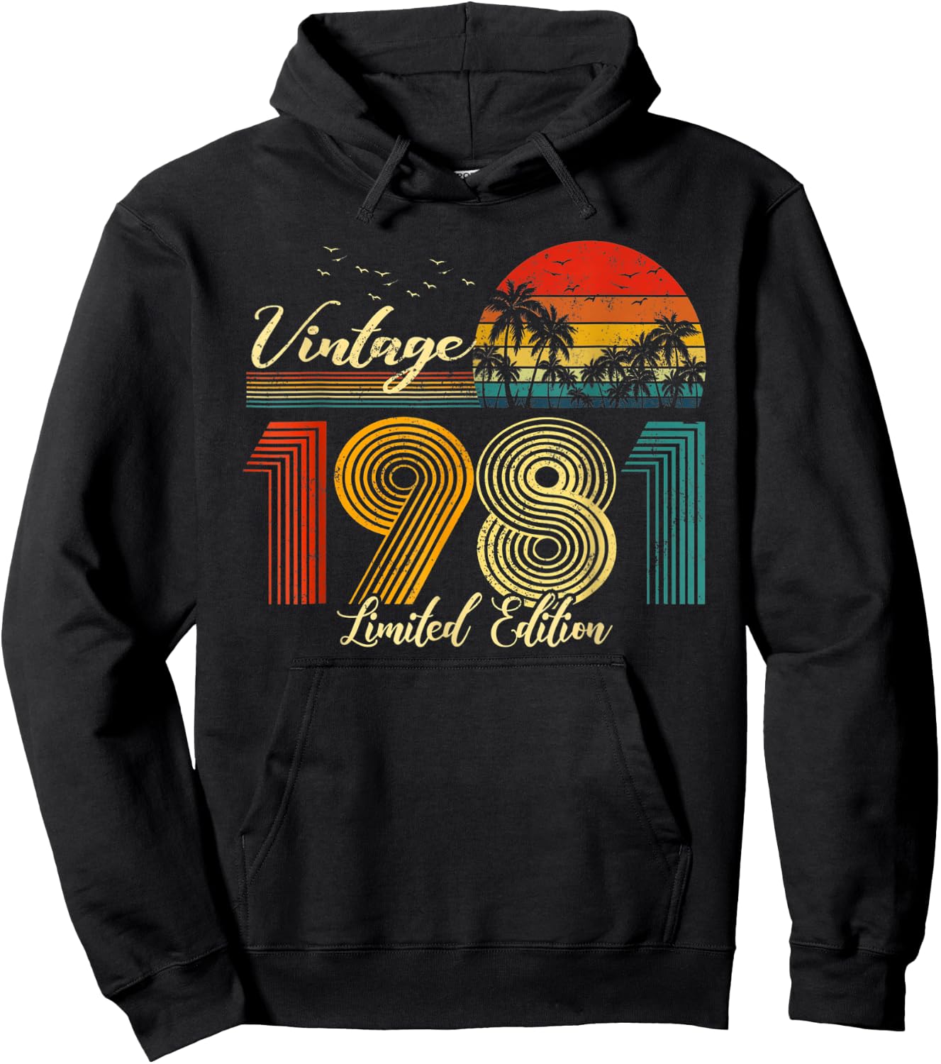 Vintage 1981 Limited Edition Men Women - 42 Birthday Hoodie - Hoodie | Black