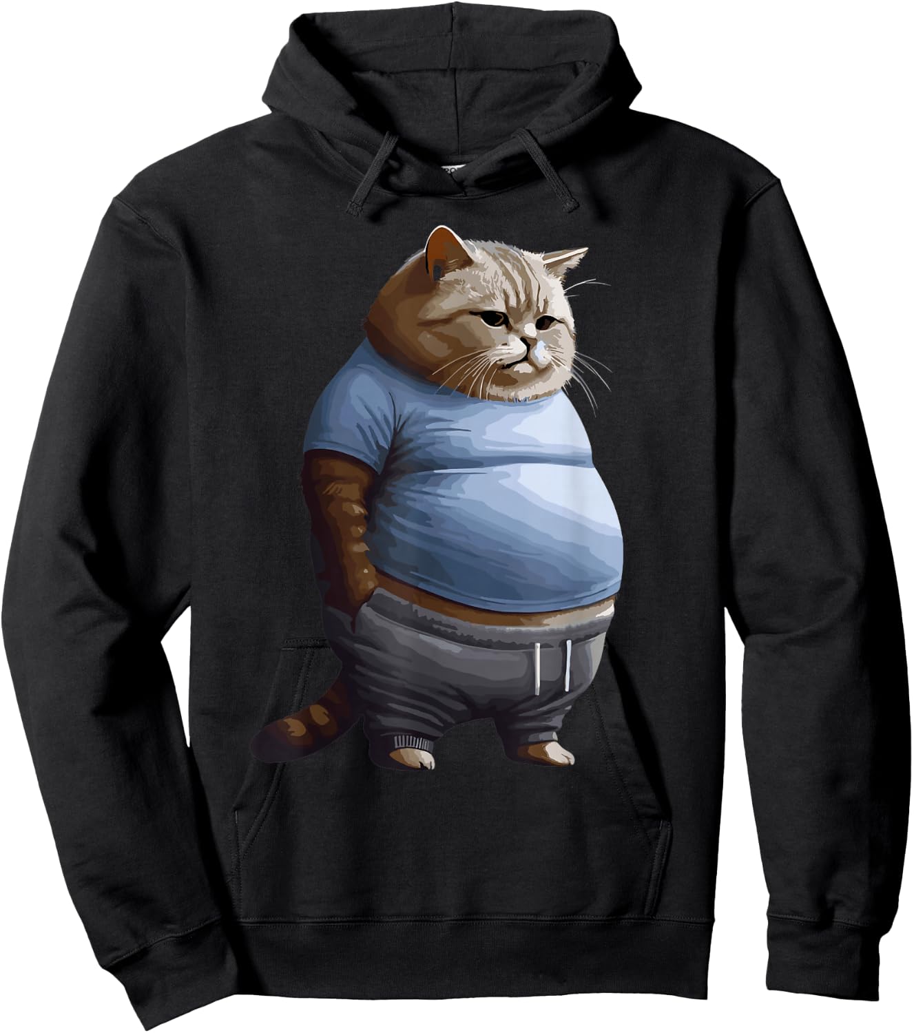 Funny Fat Sad Cat Art Design Fat Kitten Cat Lover Fat Cat Hoodie - Hoodie | Black