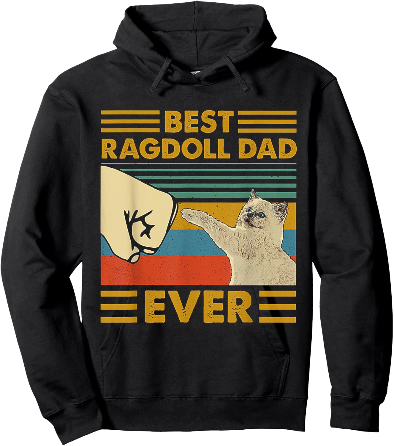 Best Ragdoll Dad Ever Retro Vintage Sunset Hoodie - Hoodie | Black