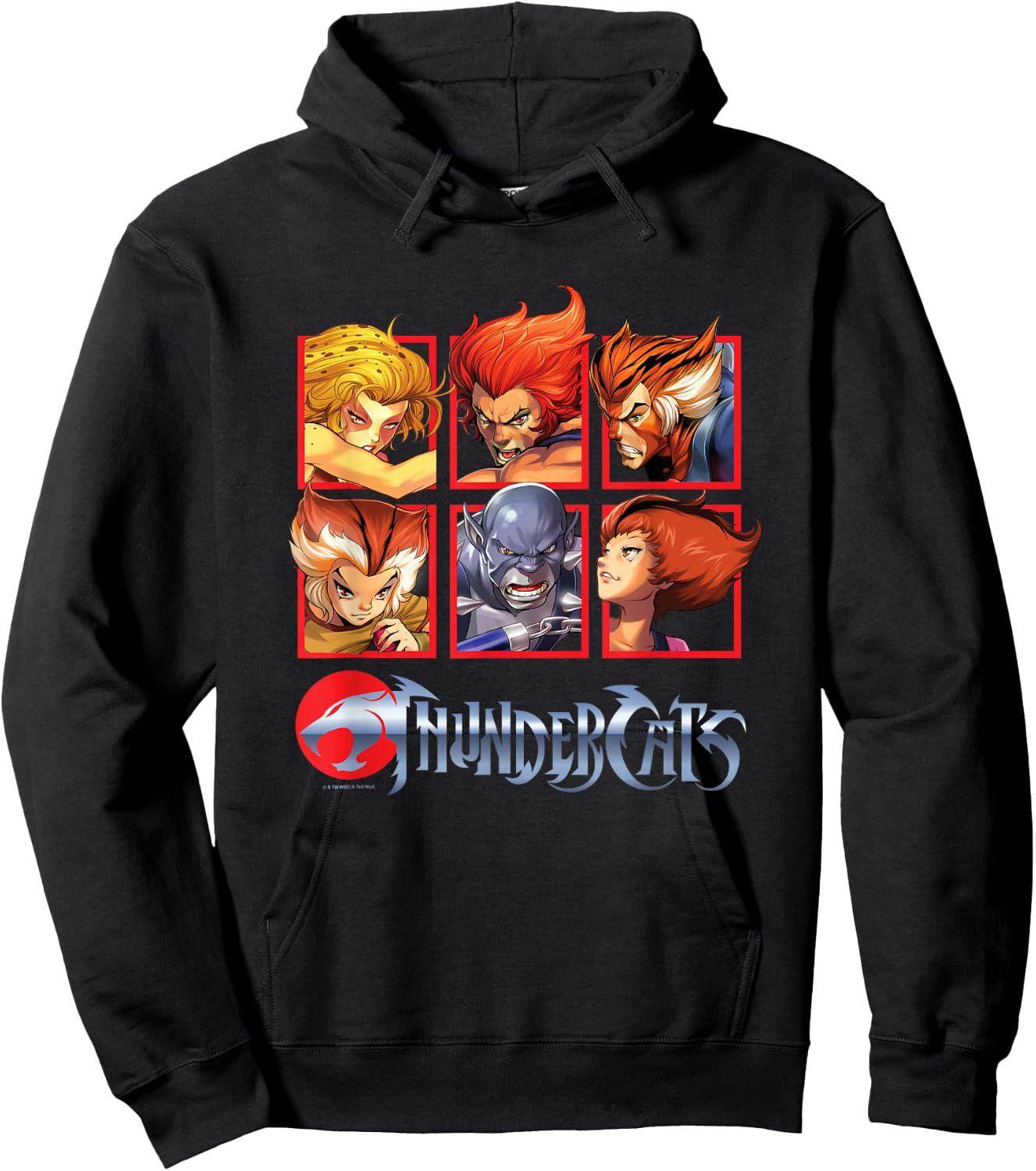 ThunderCats Bring The Thunder Iconic Characters Chest Panels Hoodie - Hoodie | Black
