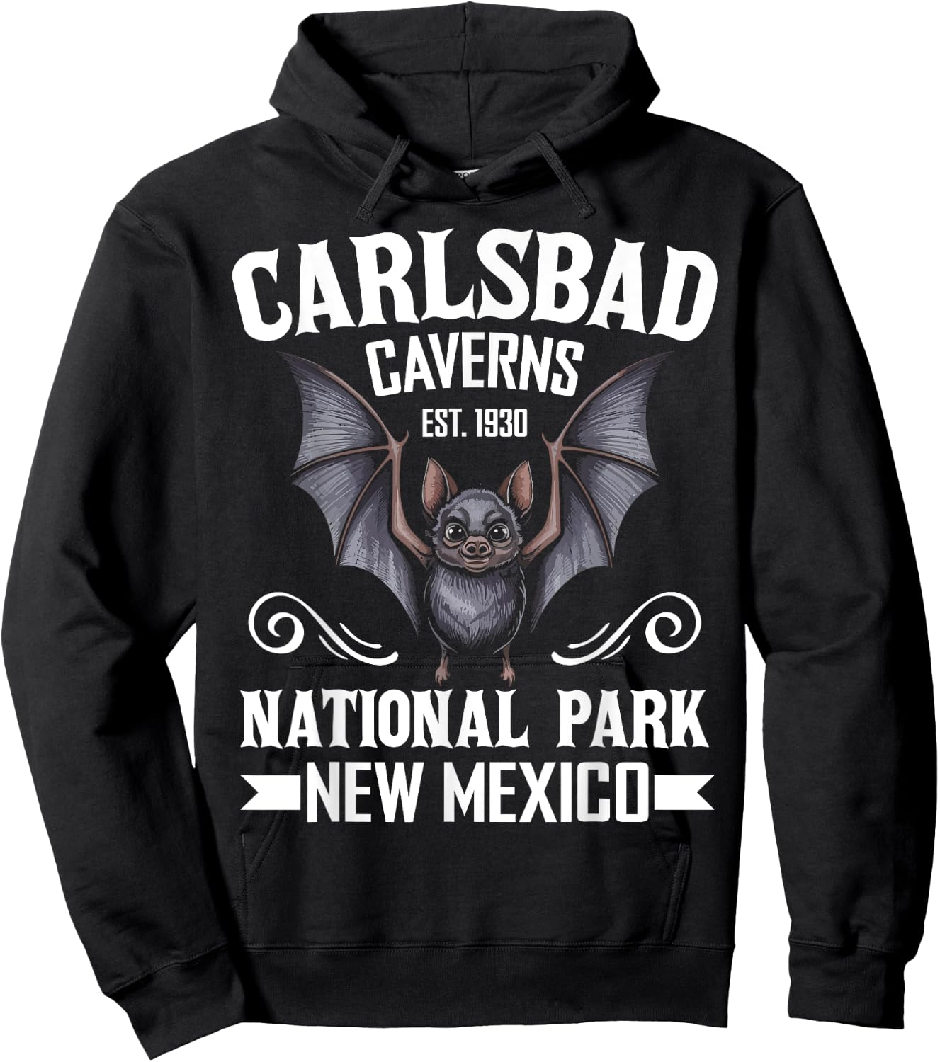 Carlsbad Caverns National Park Bat Mexico Travel Souvenir Hoodie - Hoodie | Black