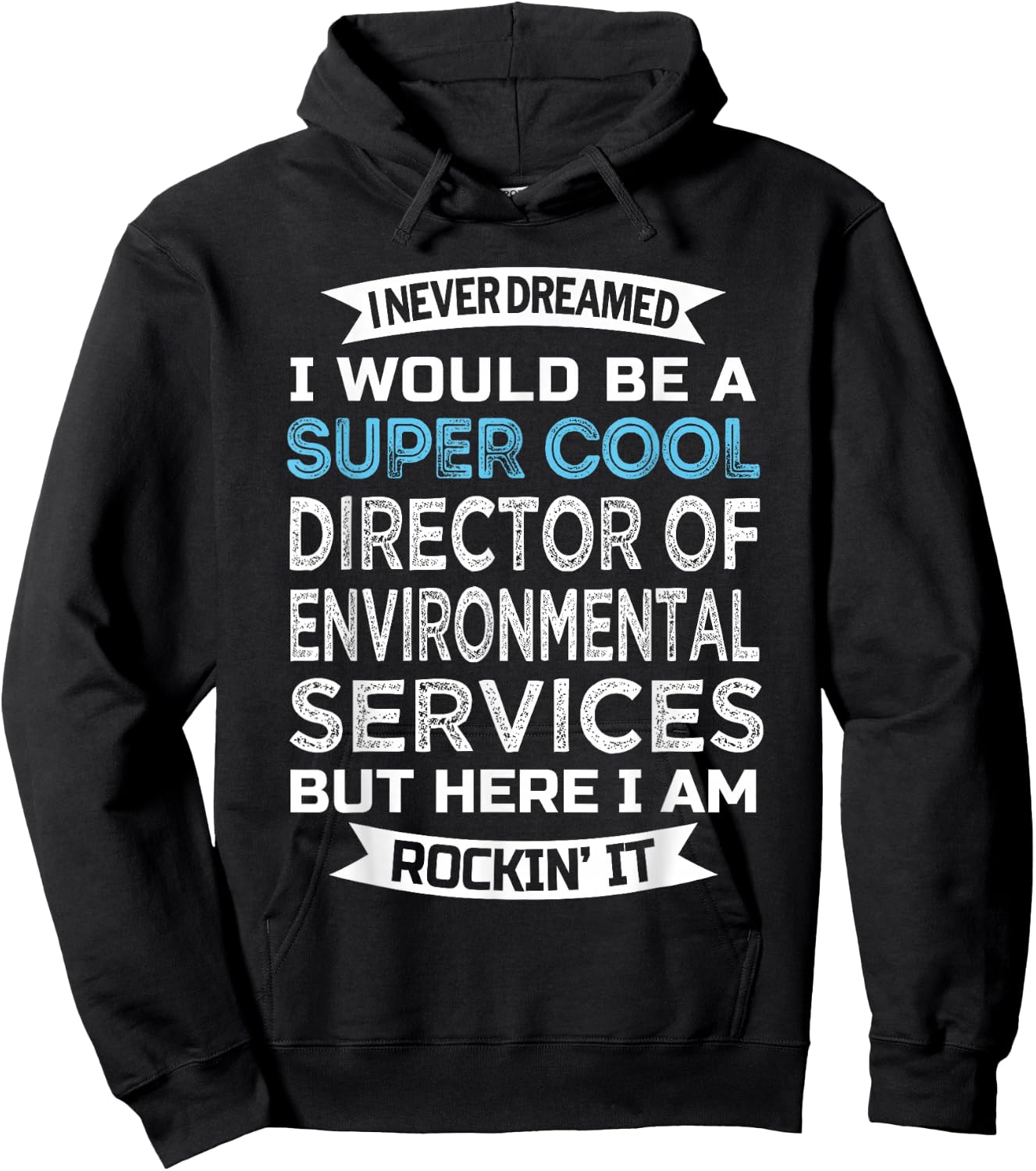 Director of Environmental Services Funny EVS Director Hoodie - Hoodie | Black