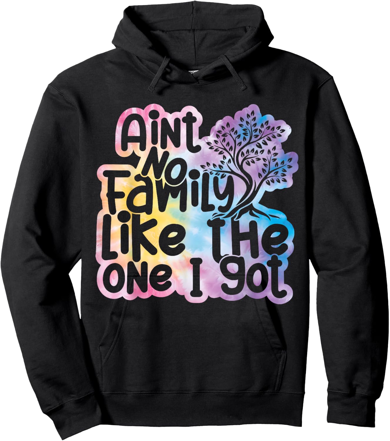 Ain't No Family Like The One I Got Funny Family Reunion 2026 Hoodie - Hoodie | Black