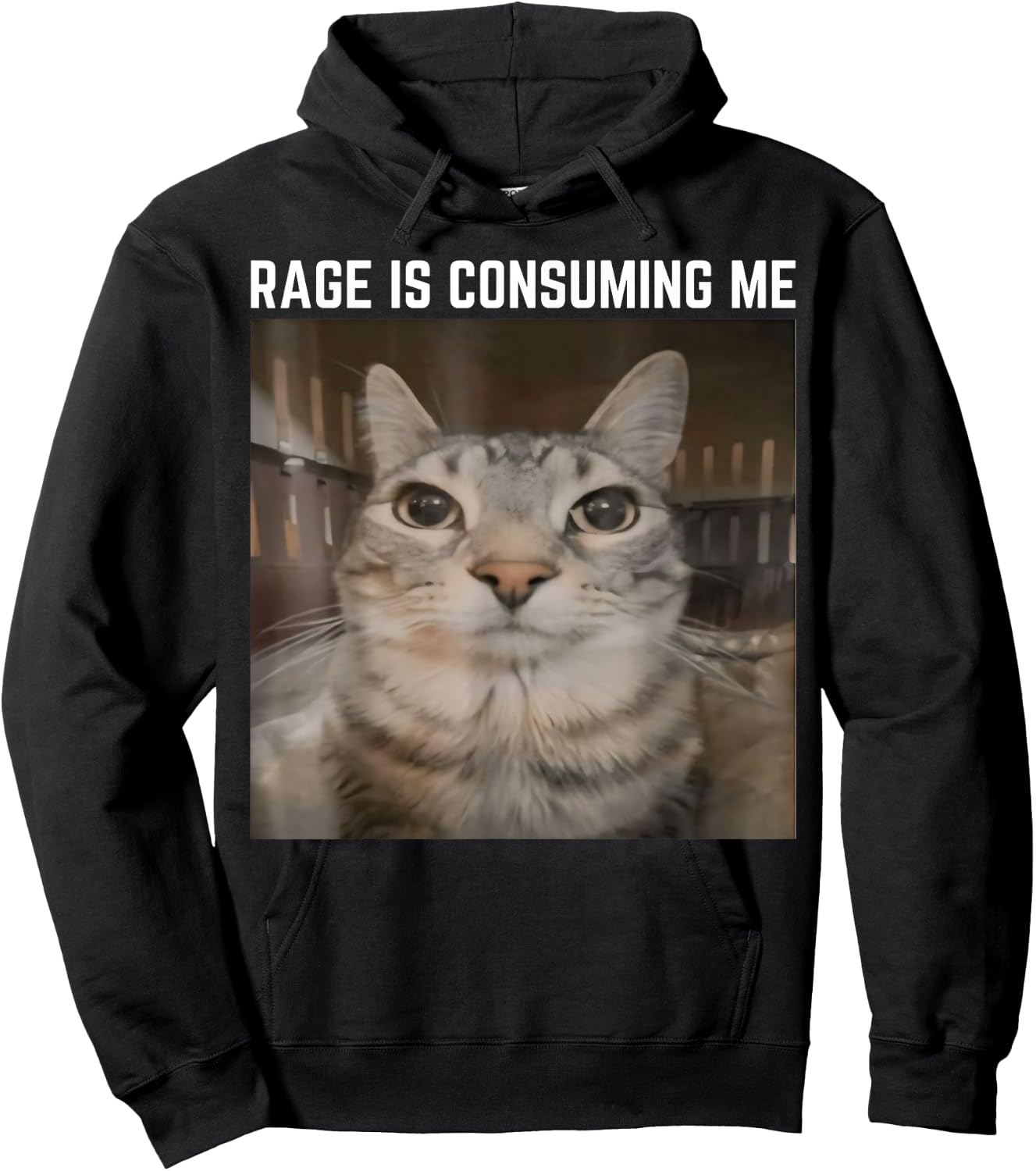 Rage is Consuming Me Meme Cat Meme Oddly Specific Memes Joke Hoodie - Hoodie | Black