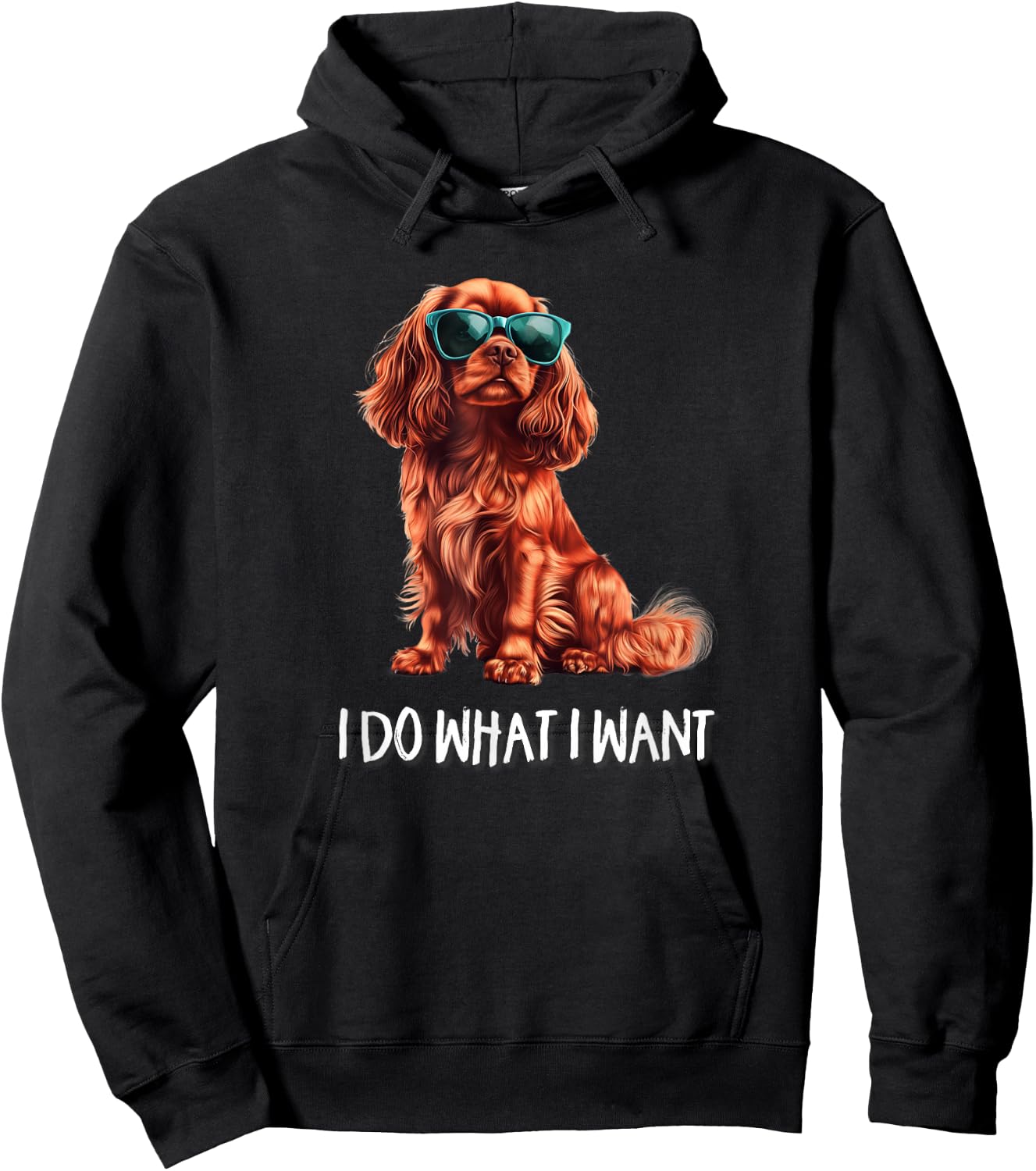 Funny What I Want Ruby Cavalier King Charles Spaniel Lover Hoodie - Hoodie | Black