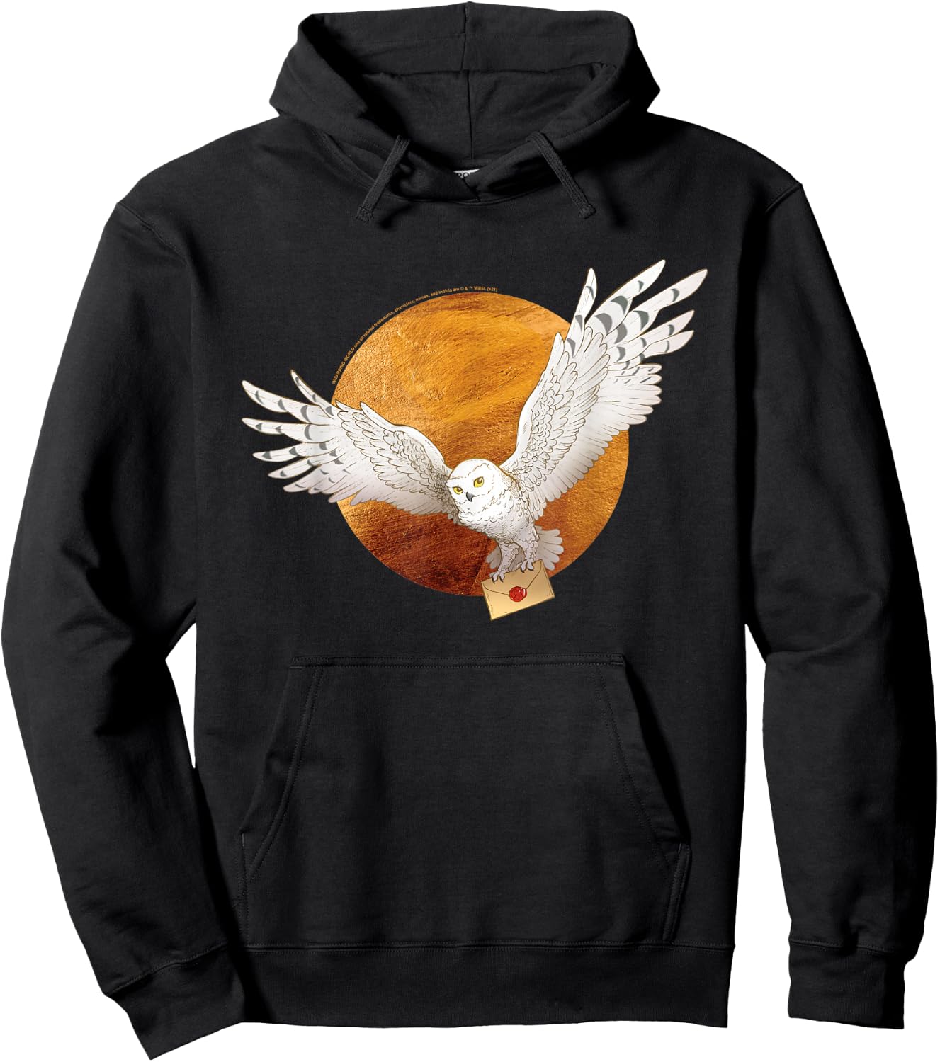 Harry Potter Hedwig and The Moon Small Hoodie - Hoodie | Black