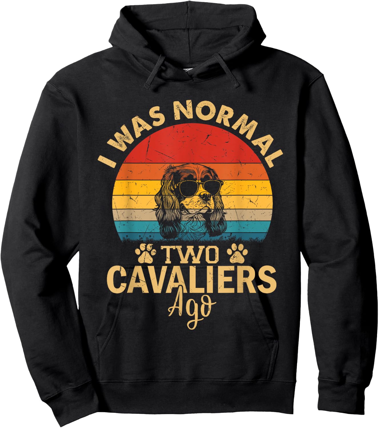 Cavalier Dog Lovers Gifts I Was Normal Two Cavaliers Ago Dog Women Kids Hoodie - Hoodie | Black