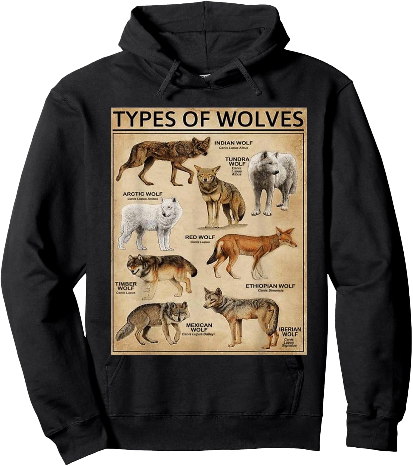 Wolf Types Animal Wolves of the World Educational Collection Hoodie - Hoodie | Black