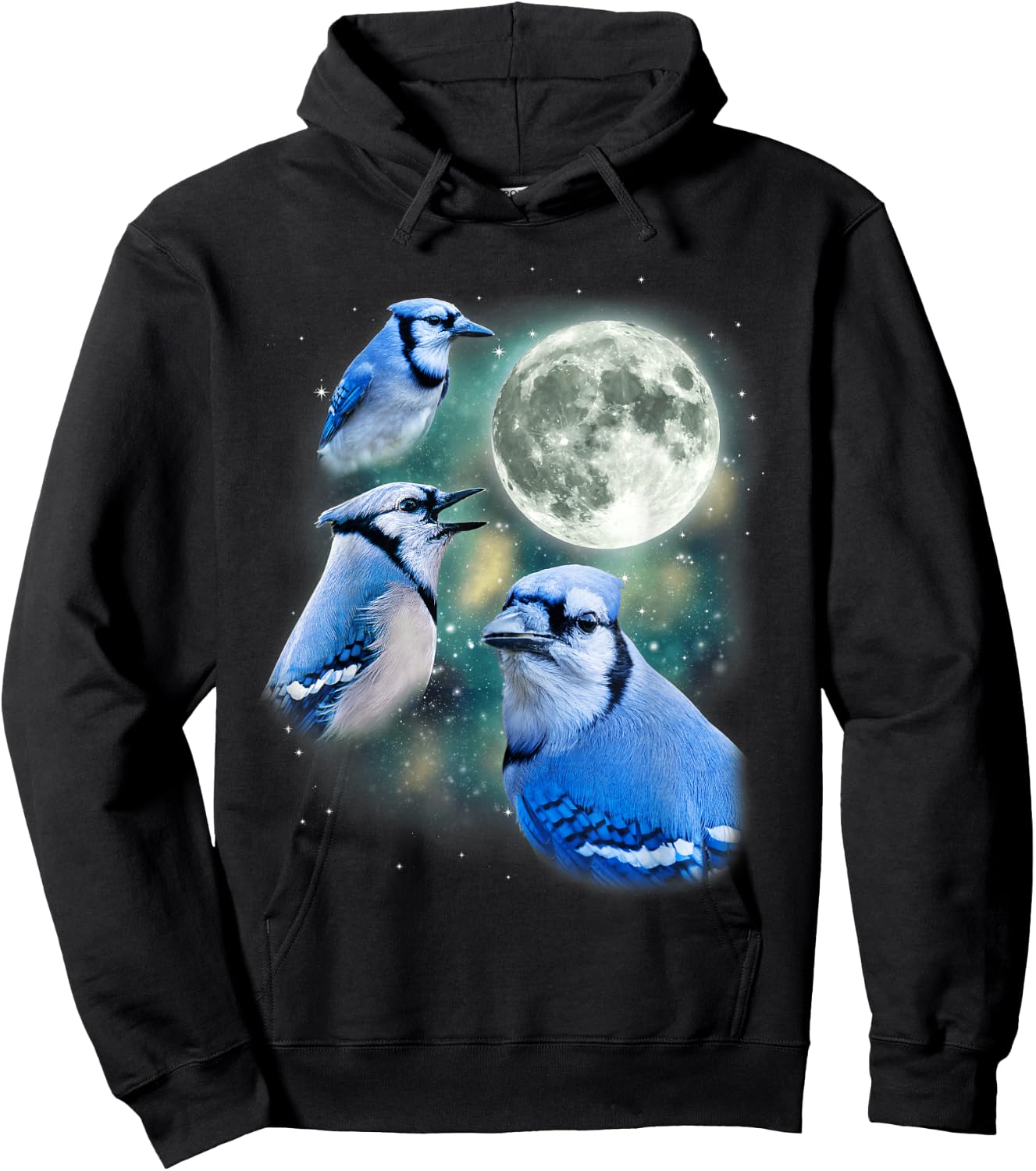 Three Blue Jay Moon Avian Wildlife Birdwatching Bird Lover Hoodie - Hoodie | Black