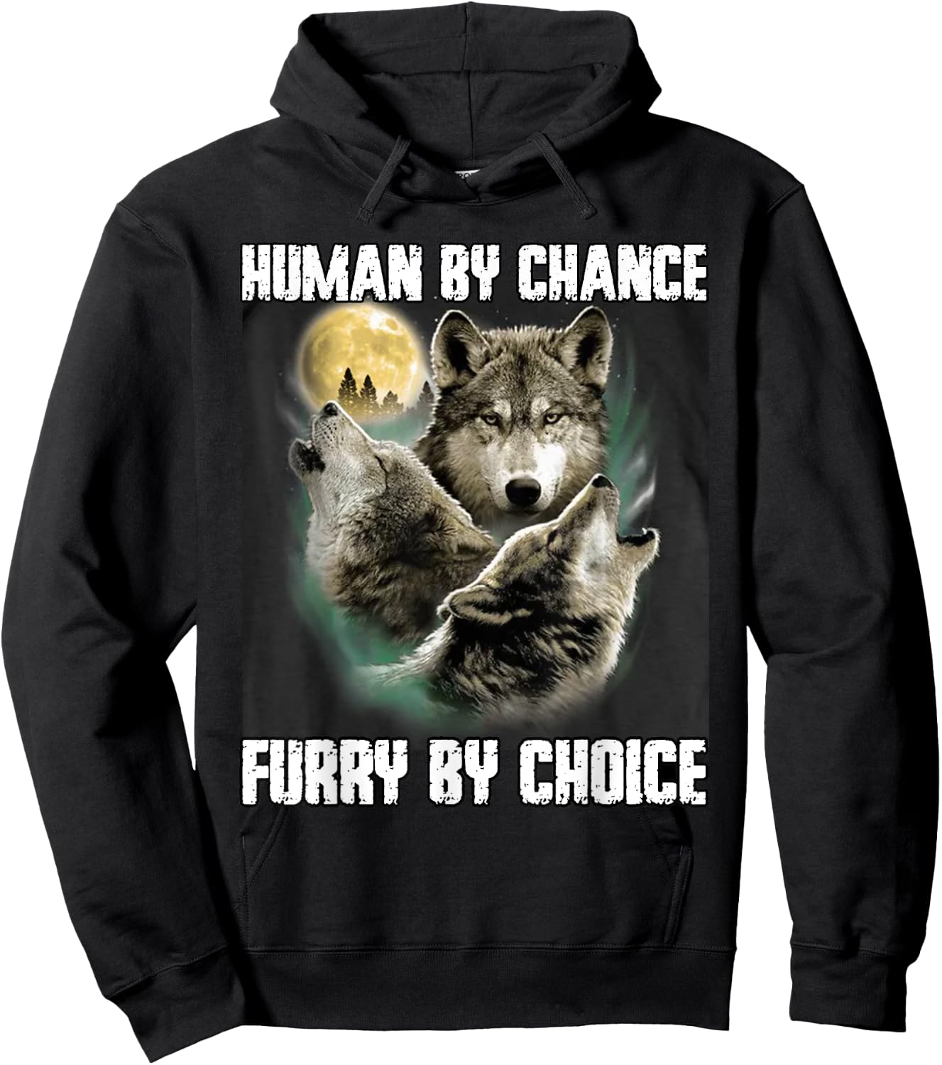 Human By Chance Furry By Choice Funny Werewolf Wolf Meme Hoodie - Hoodie | Black