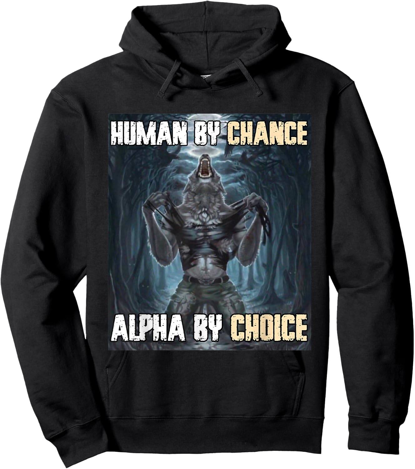 Human By Chance Alpha By Choice Funny Werewolf Wolf Meme Hoodie - Hoodie | Black