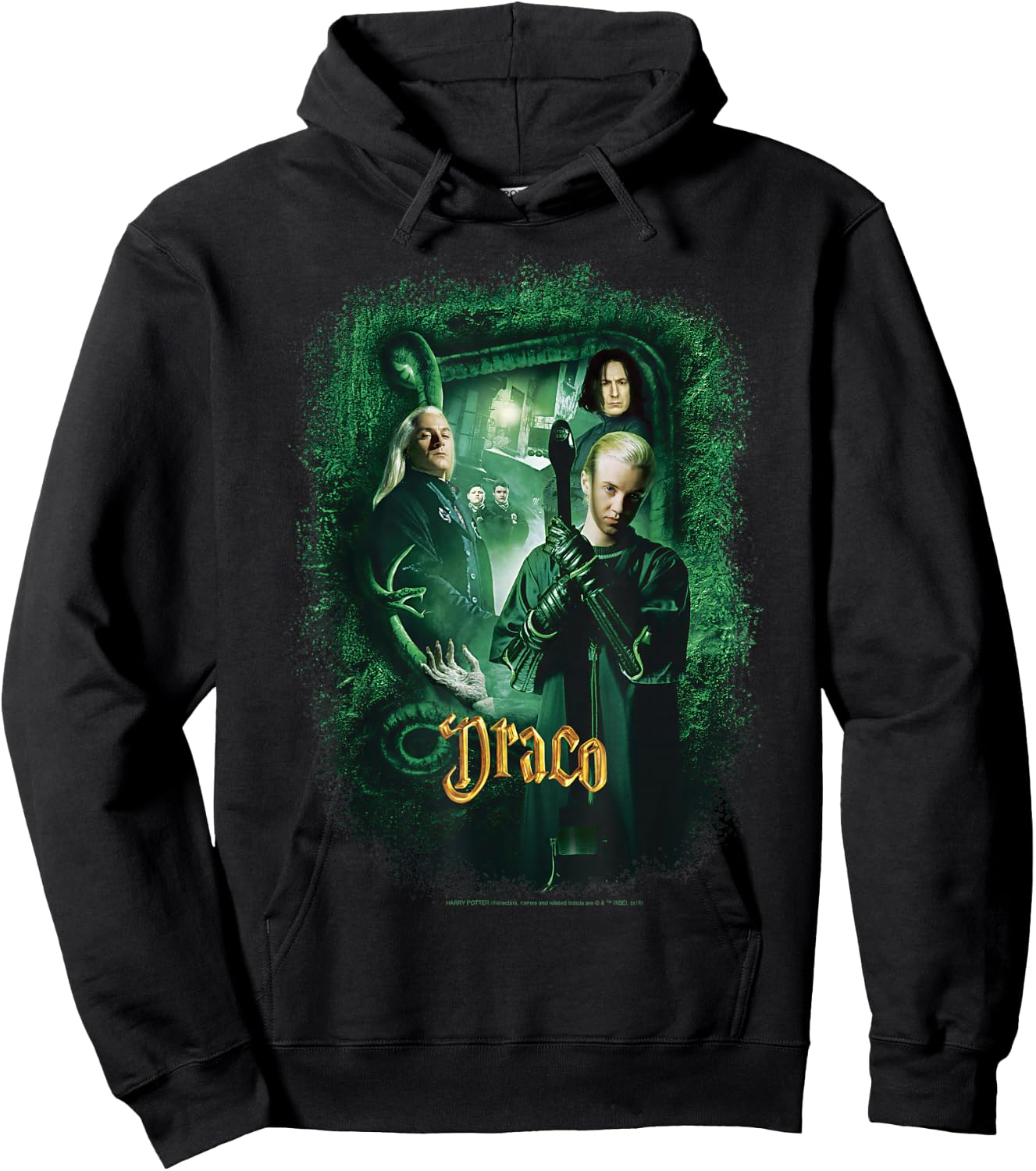 Harry Potter And The Chamber Of Secrets Draco Portrait Hoodie - Hoodie | Black