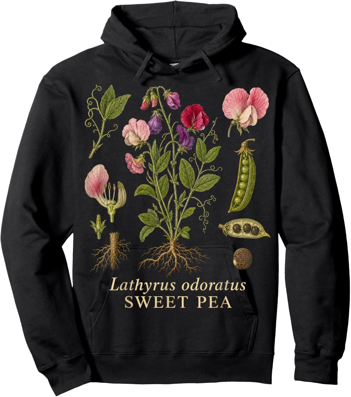 Sweet Pea Botanical Flower Vintage Garden Illustration Hoodie - Hoodie | Black
