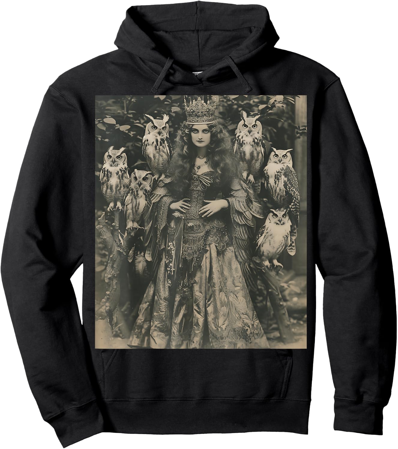 Vintage Witch Sorceress With Raptor Owl Birds Goth Gothic Hoodie - Hoodie | Black