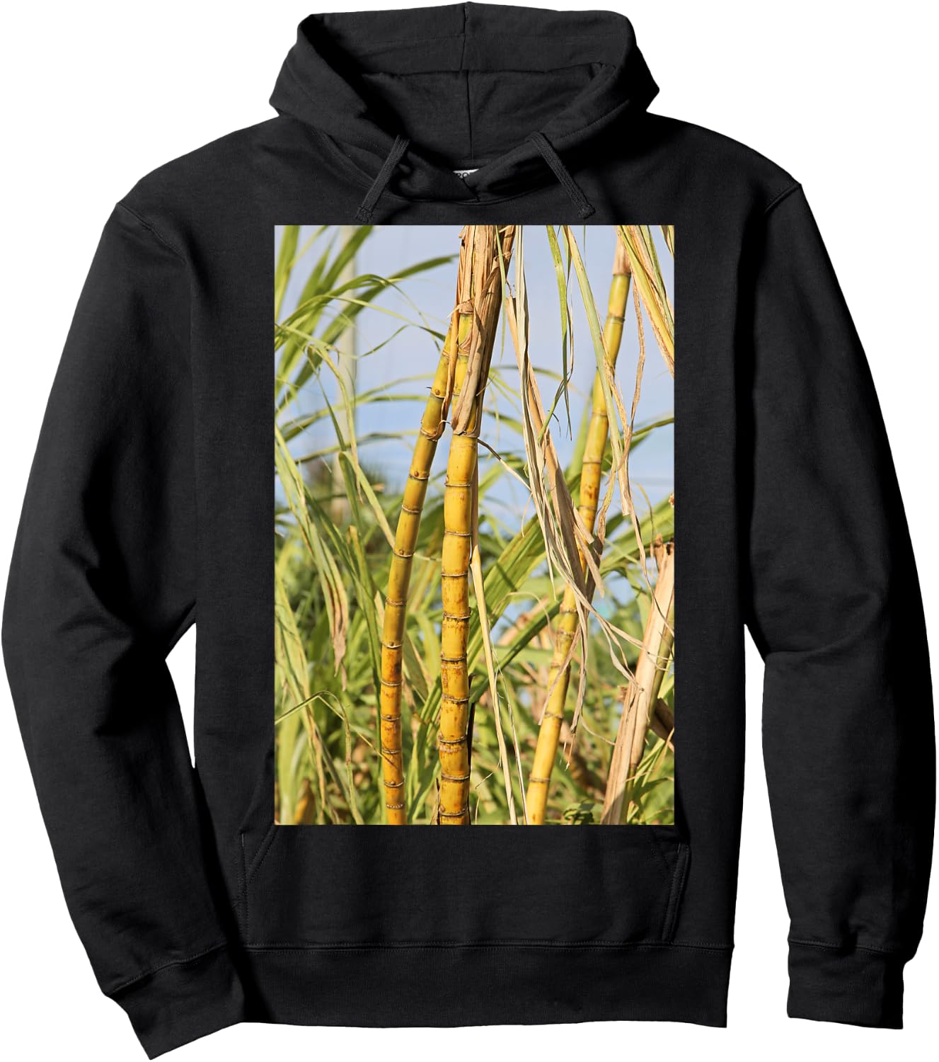 South Florida Sugar Cane Hoodie - Hoodie | Black