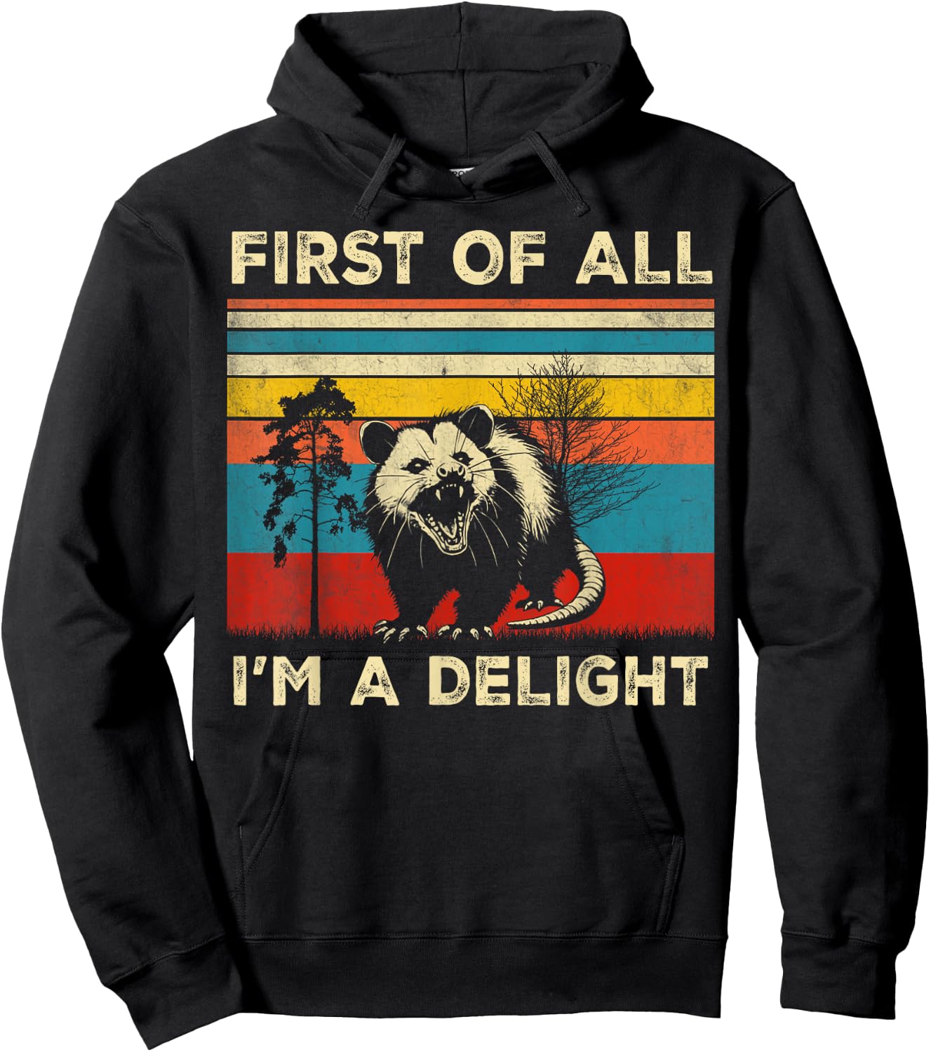 Vintage Opossum Funny Possum , Women, Boys, Girls, Teens, Kids, Black, Small Hoodie - Hoodie | Black