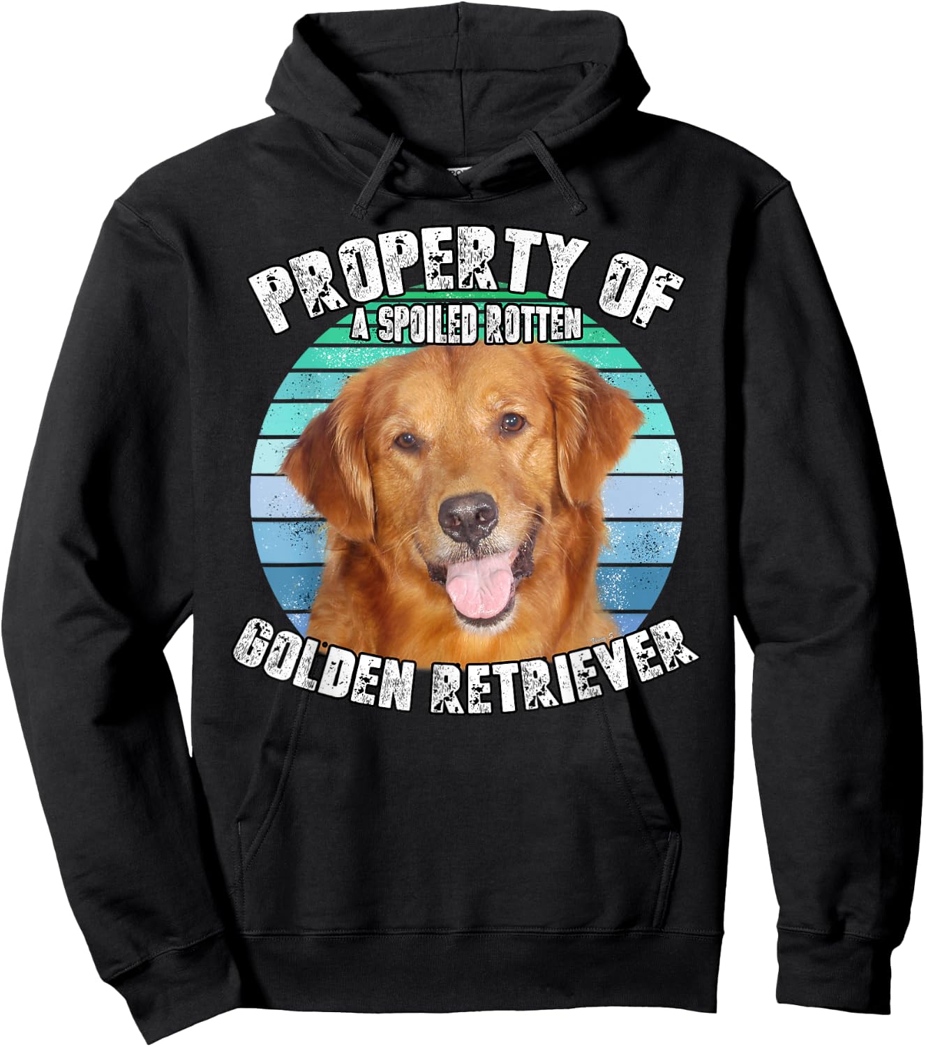 Golden Retriever Retro Property Of Hoodie - Hoodie | Black