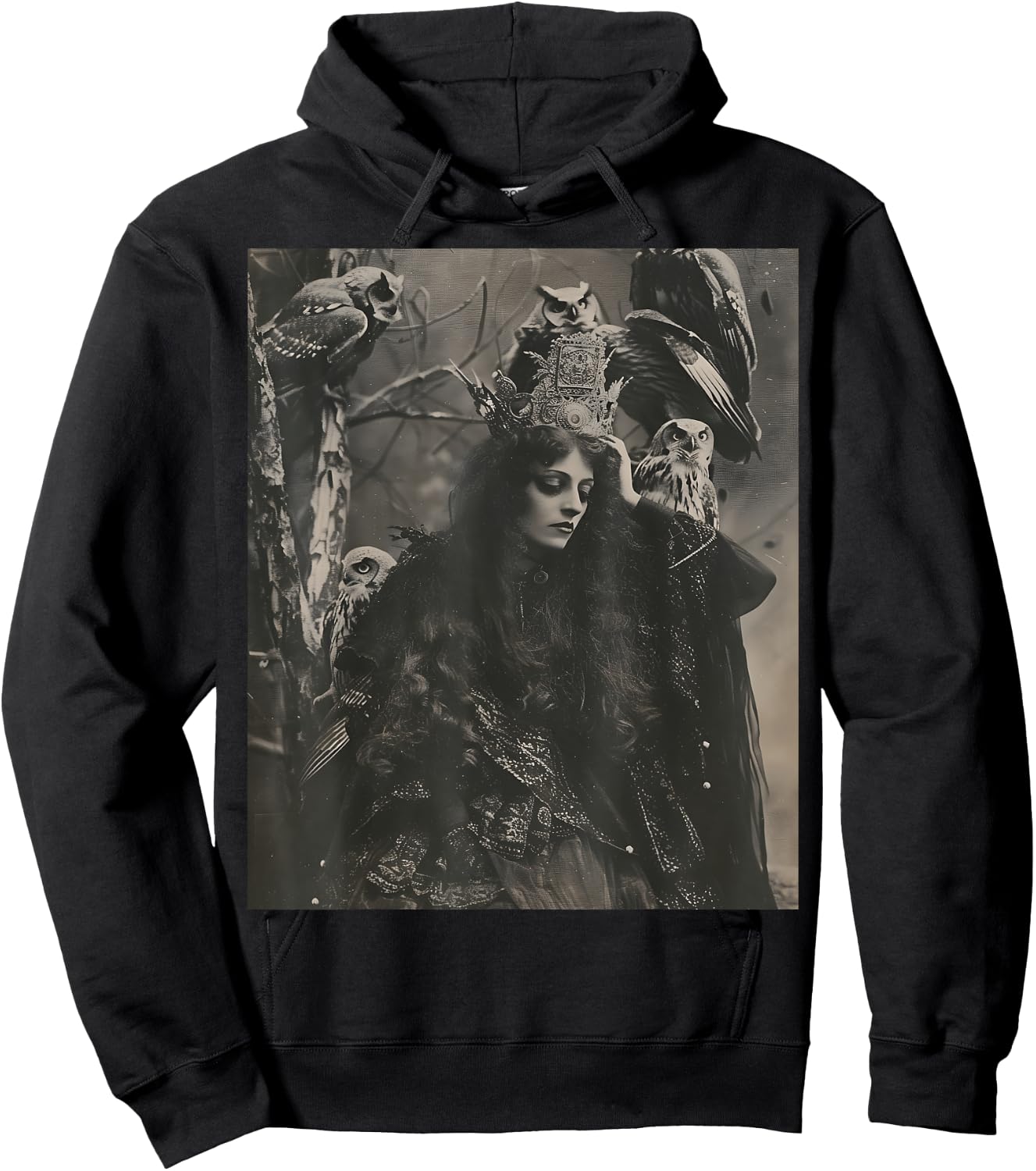 Vintage Witch Sorceress With Raptor Owl Birds Goth Gothic Hoodie - Hoodie | Black