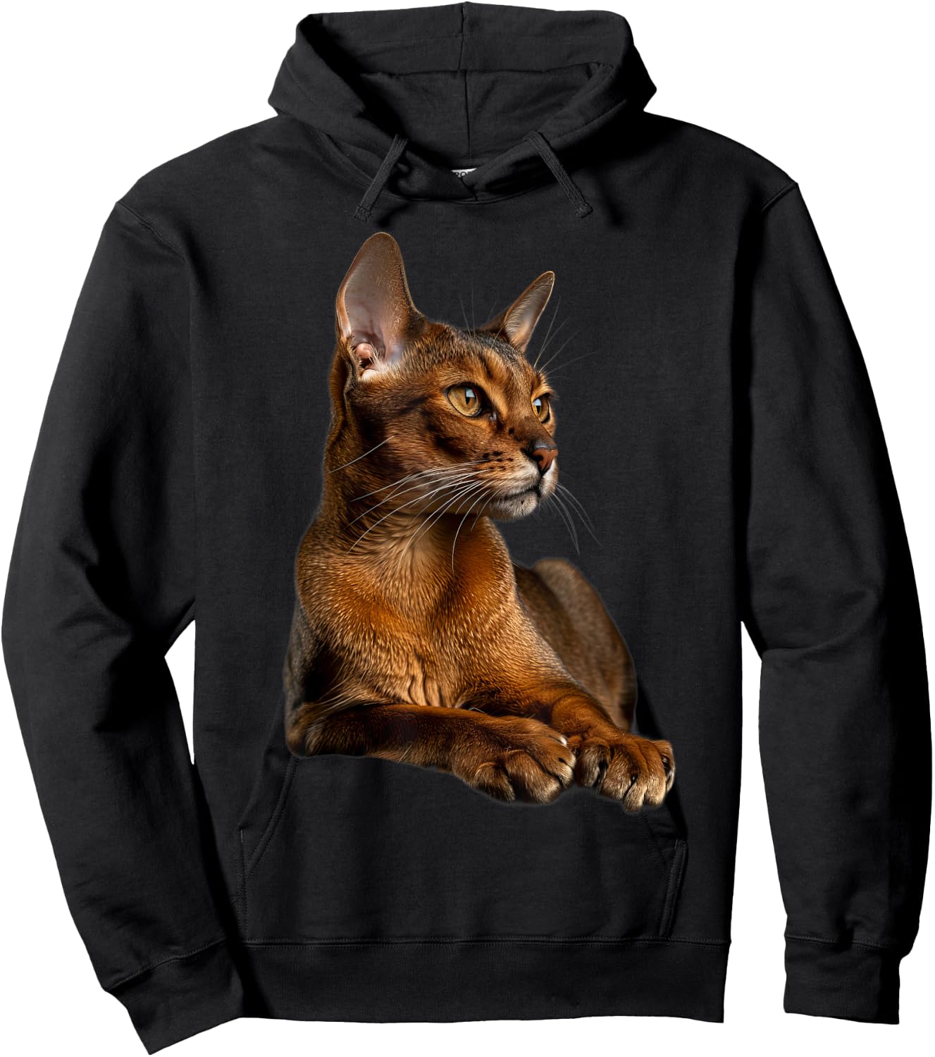 Abyssinian Cat Hoodie - Hoodie | Black