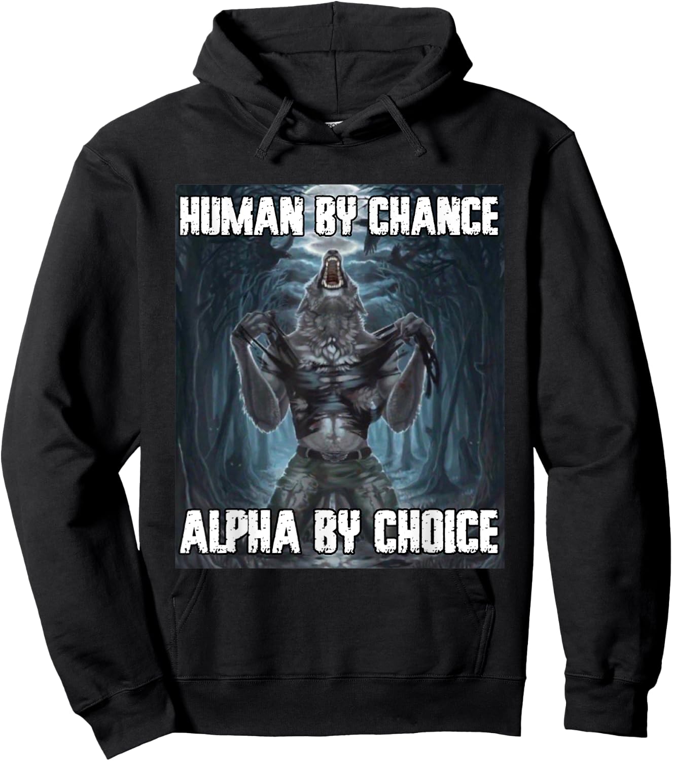 Human By Chance Alpha By Choice Funny Werewolf Wolf Meme Hoodie - Hoodie | Black