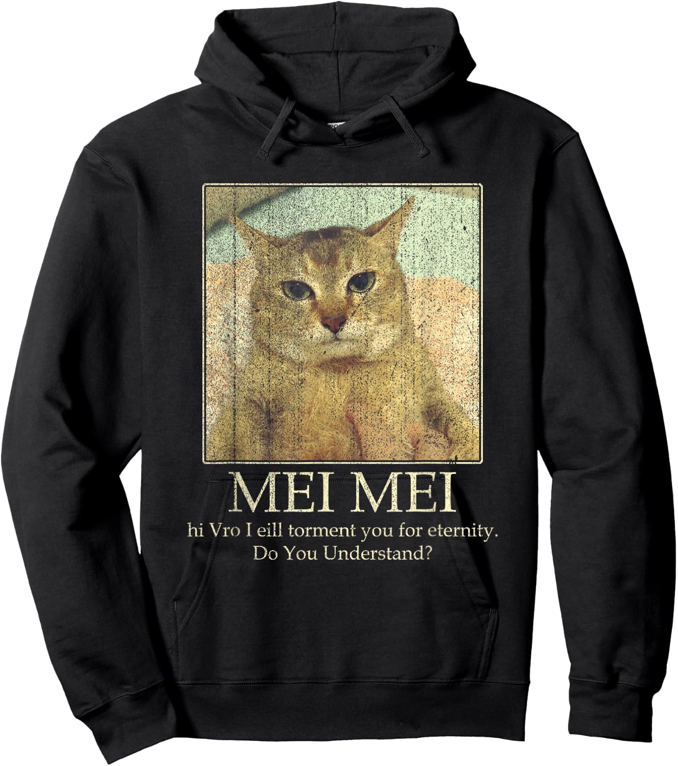 Mei Mei Cat Lover Do You Understand Cat Meme Men Women Hoodie - Hoodie | Black