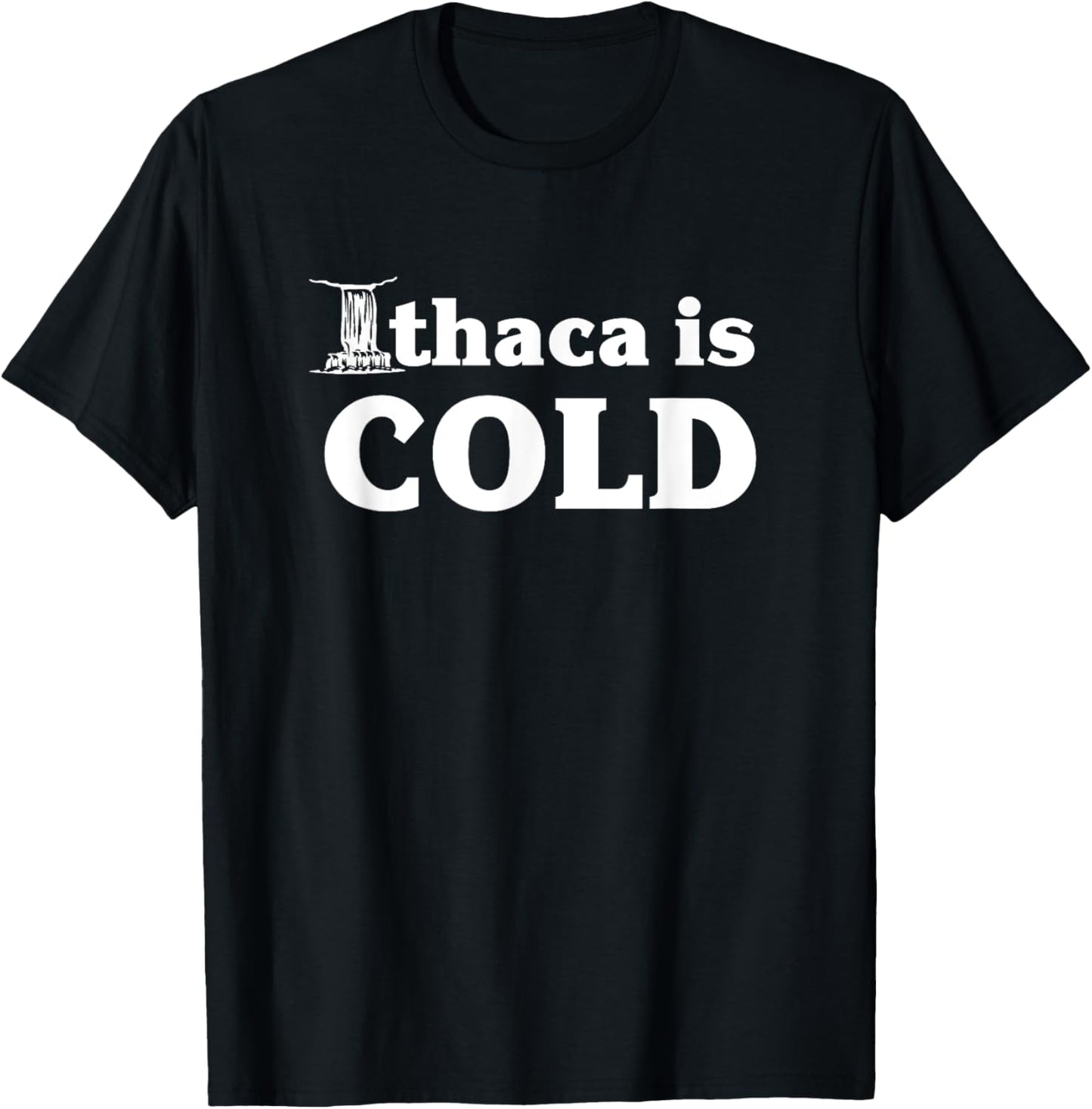 Ithaca Is Cold Funny Ithaca NY Gift T-Shirt - T-Shirt | Black