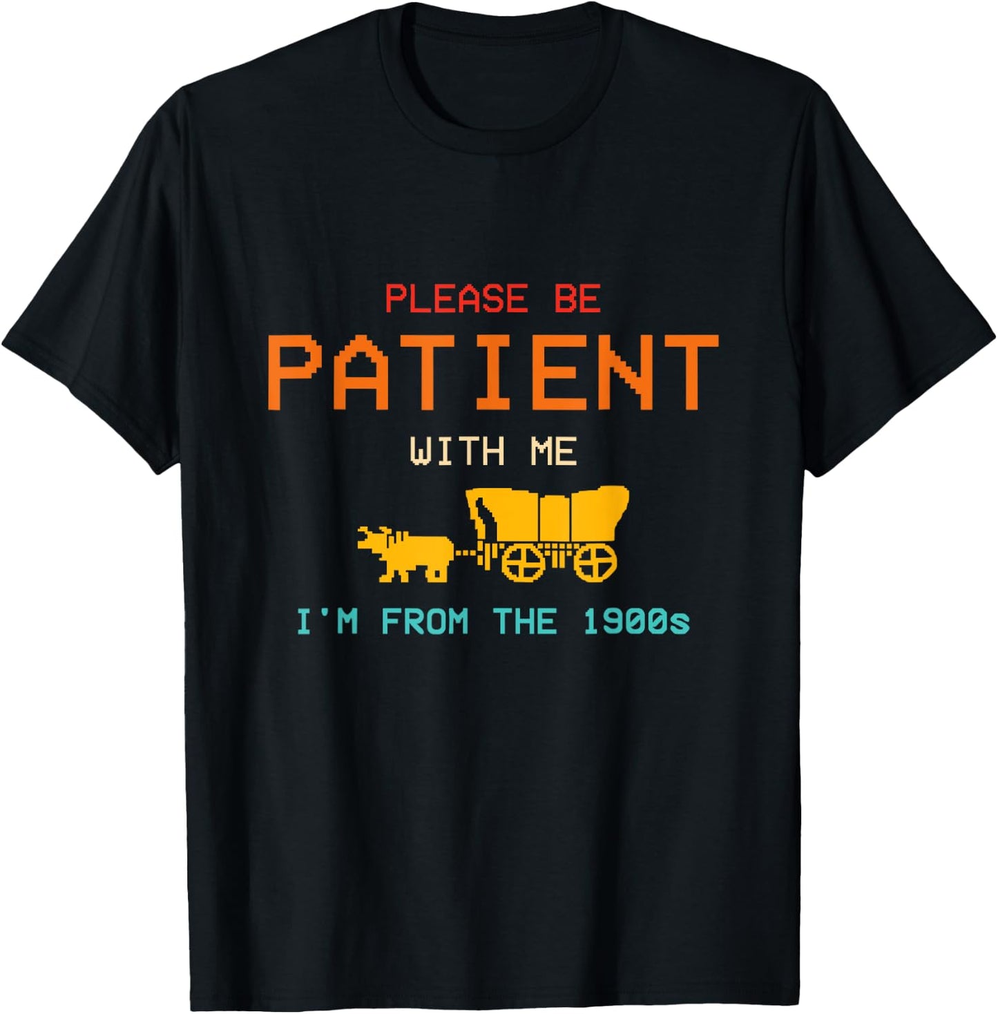 Get In Loser We're Going To Die Of Dysentery Oregon Trail T-Shirt - T-Shirt | Black