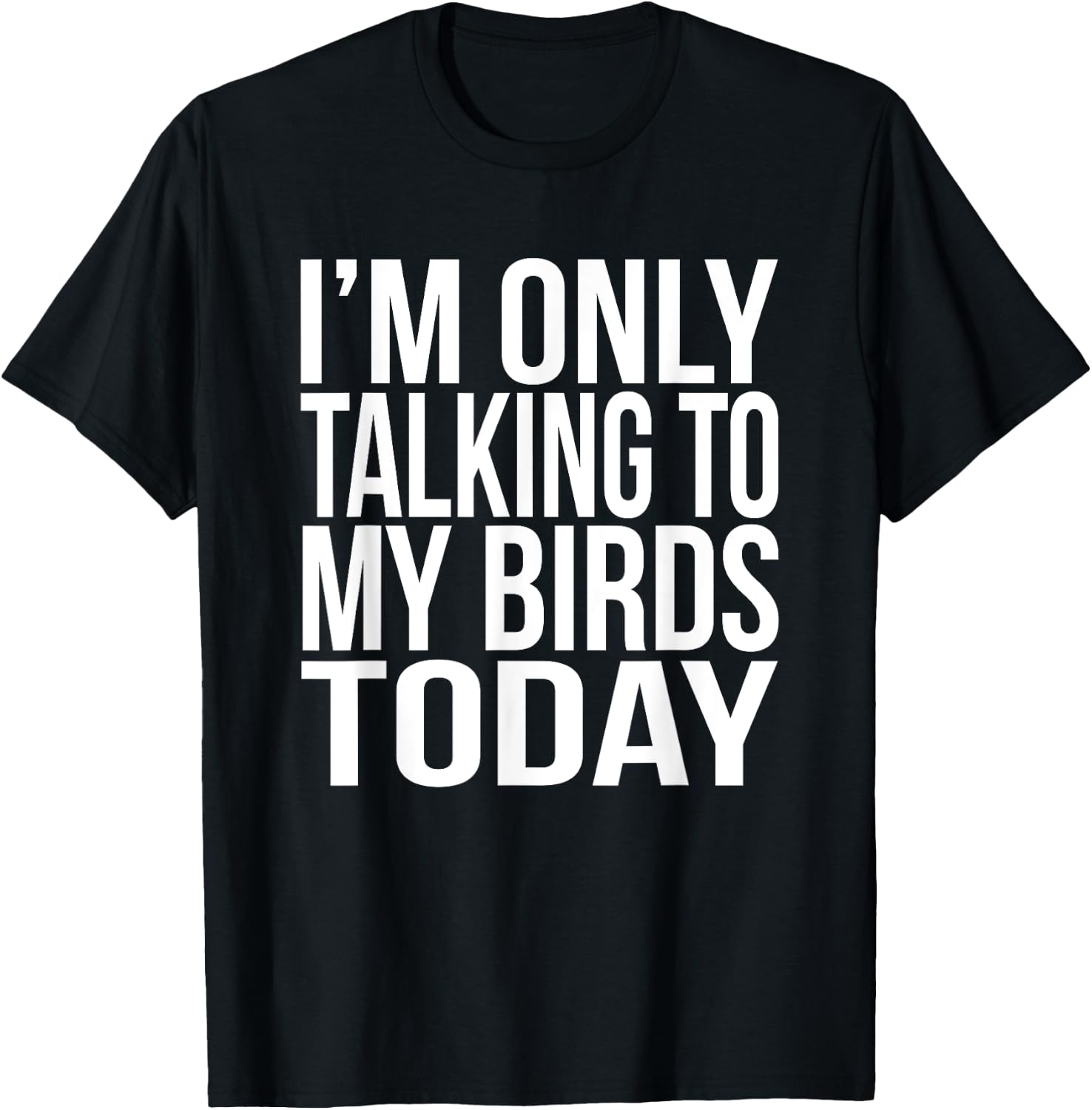 I'm Only Talking To My Birds Today Gift A Pet Bird Lover T-Shirt - T-Shirt | Black