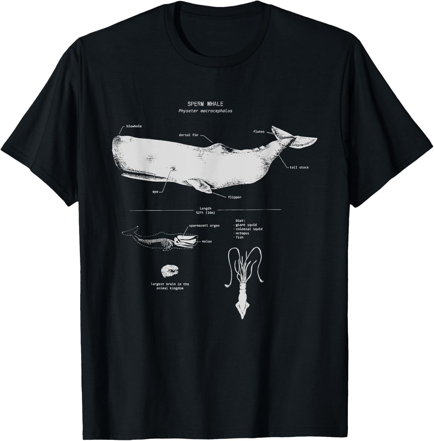Sperm Whale Anatomy Shark Biology | Marine Biologist T-Shirt - T-Shirt | Black
