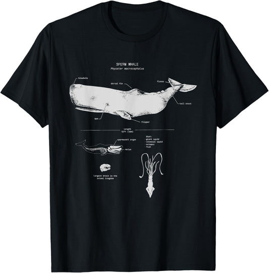 Sperm Whale Anatomy Shark Biology | Marine Biologist T-Shirt - T-Shirt | Black
