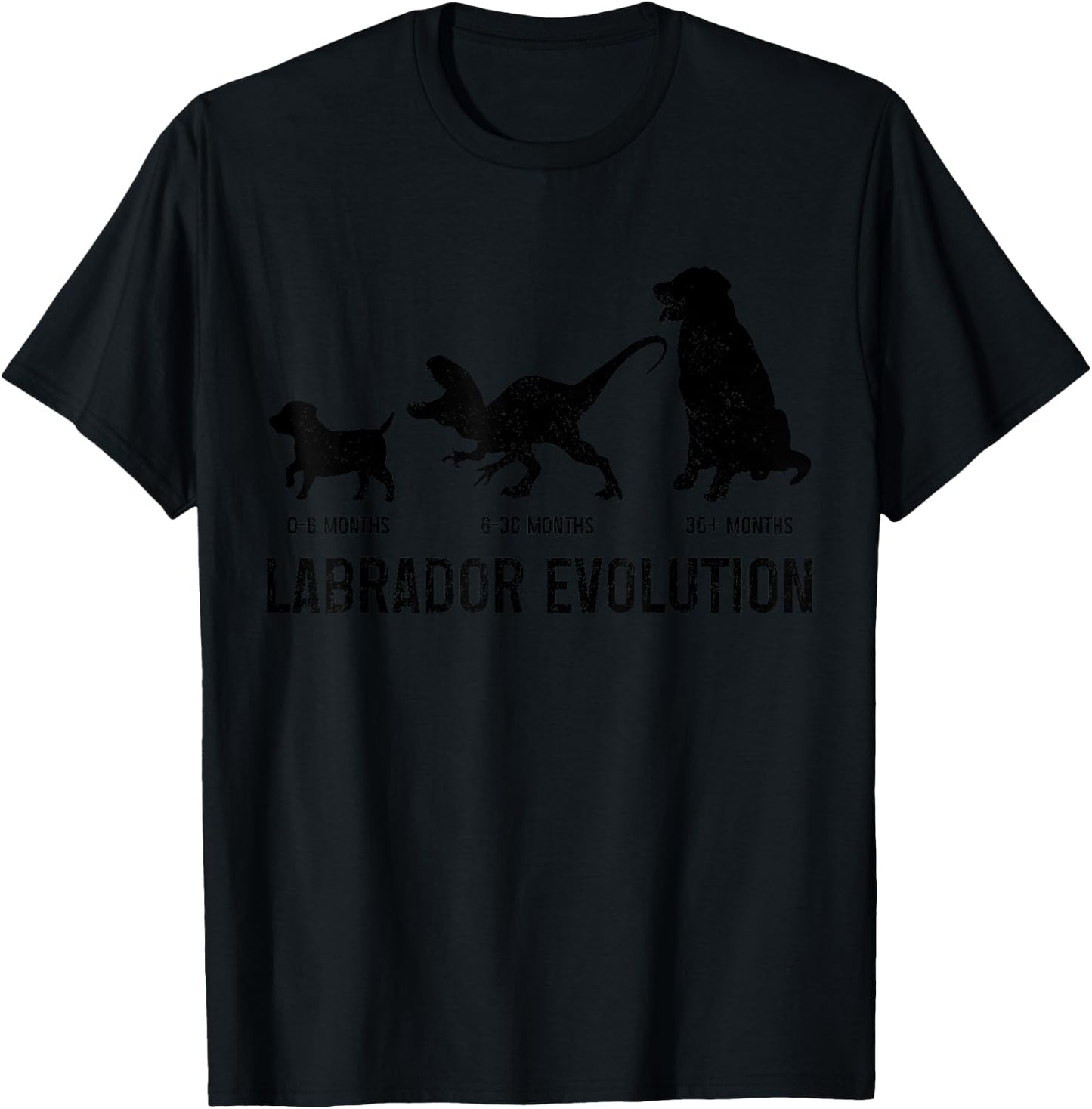 Labrador Evolution Funny Labrador Retriever Mom Dad Dog T-Shirt - T-Shirt | Black
