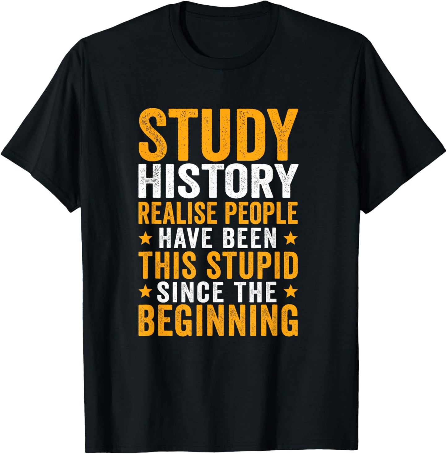 This Stupid Since The Beginning History T-Shirt - T-Shirt | Black
