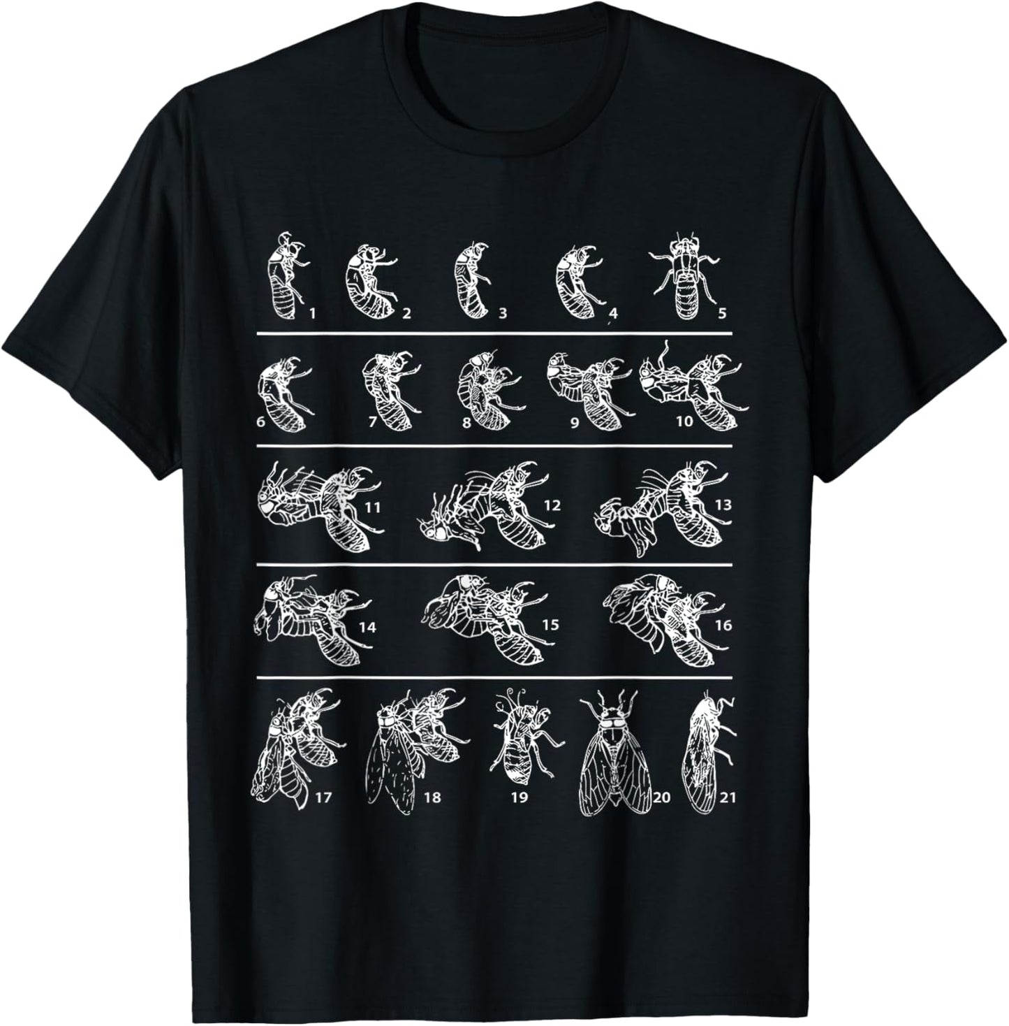 Funny Cicada Shirt Cicadas Life Cycle 2024 Entomologist T-Shirt - T-Shirt | Black