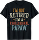 I'm Not Retired I'm A Professional Papaw Father's Day T-Shirt - T-Shirt | Black
