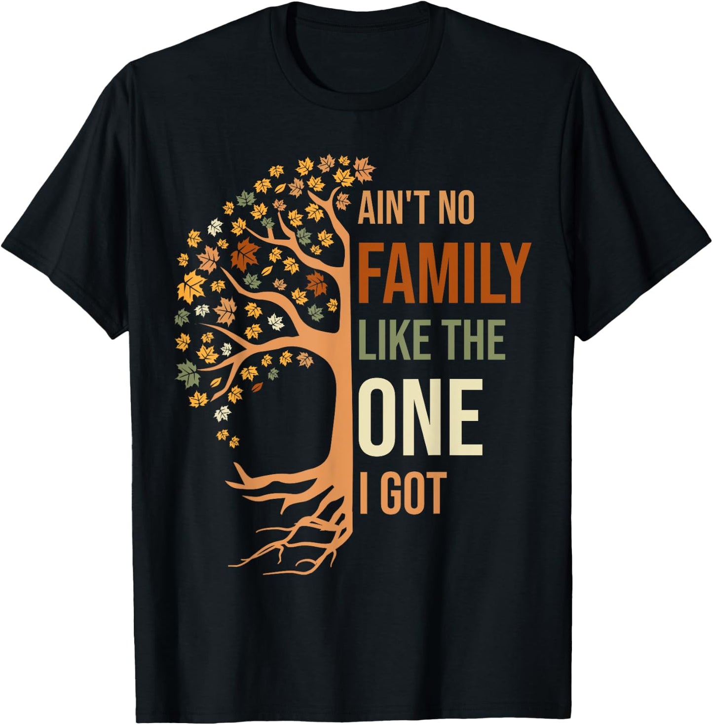Ain't No Family Like The One I Got Funny Family Reunion T-Shirt - T-Shirt | Black