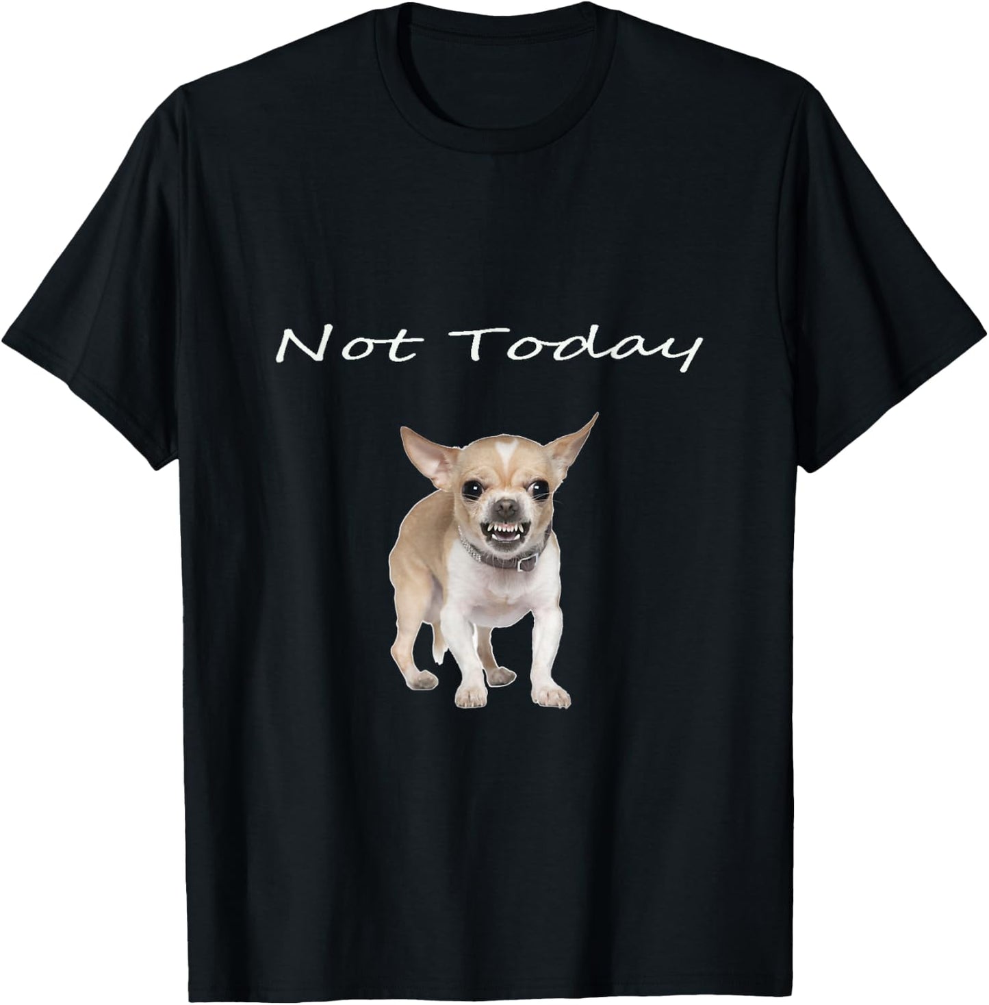 Chihuahua Not Today Snarling Teeth Showing Funny Dog T-Shirt - T-Shirt | Black