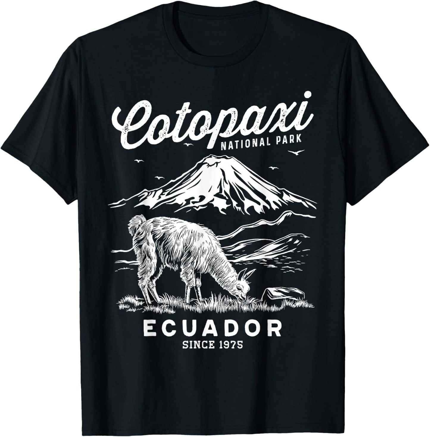 Ecuador Cotopaxi National Park Souvenir Alpaca Hike T-Shirt - T-Shirt | Black