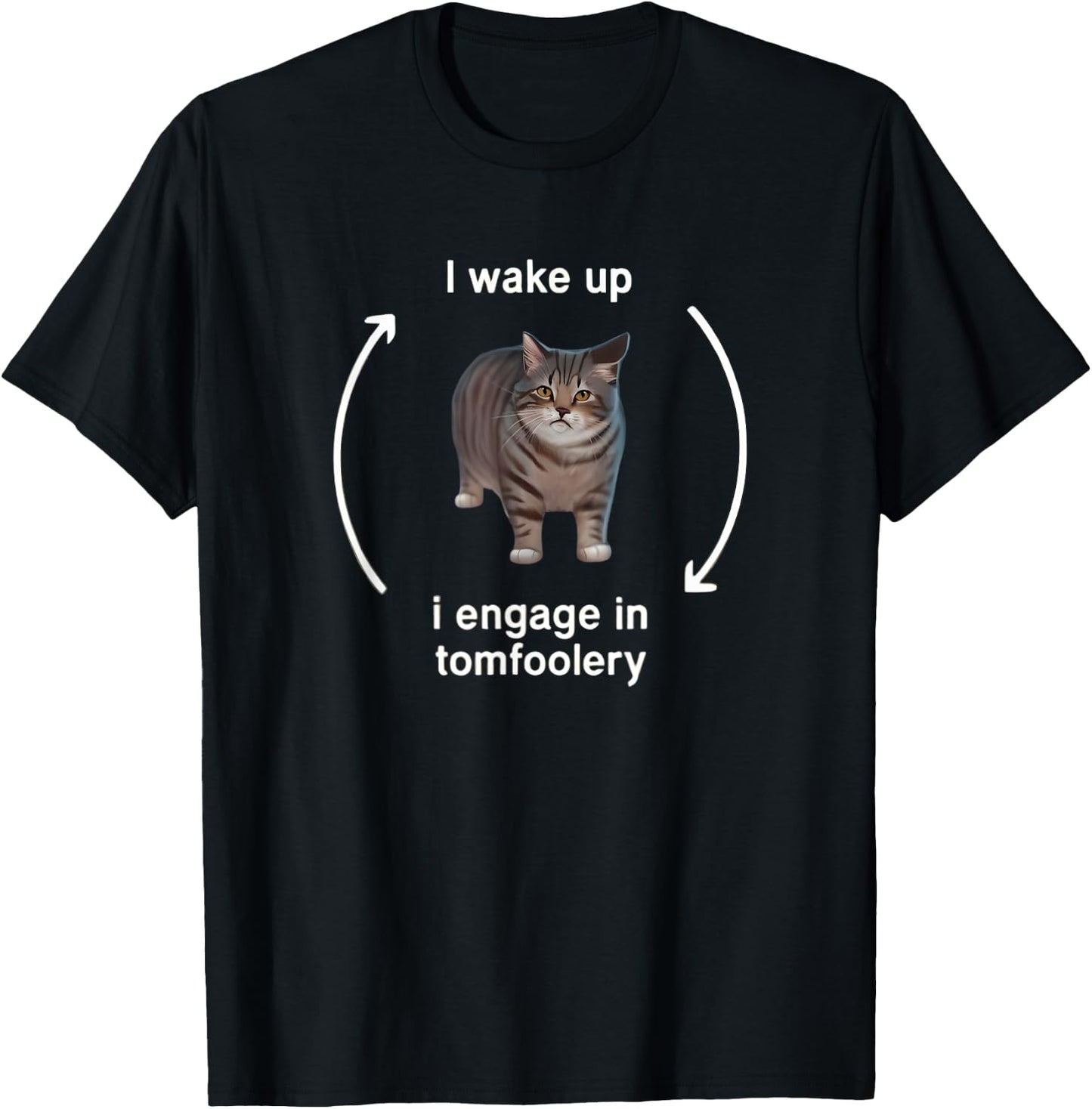 I Wake Up I Engage in Tomfoolery Funny Cat Meme T-Shirt - T-Shirt | Black