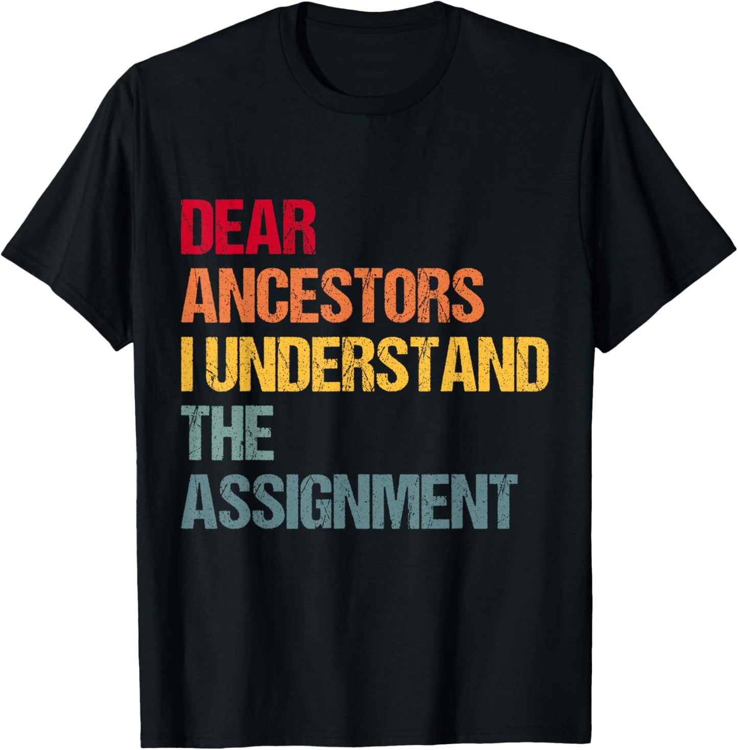 Dear Ancestors I Understand The Assignment T-Shirt - T-Shirt | Black