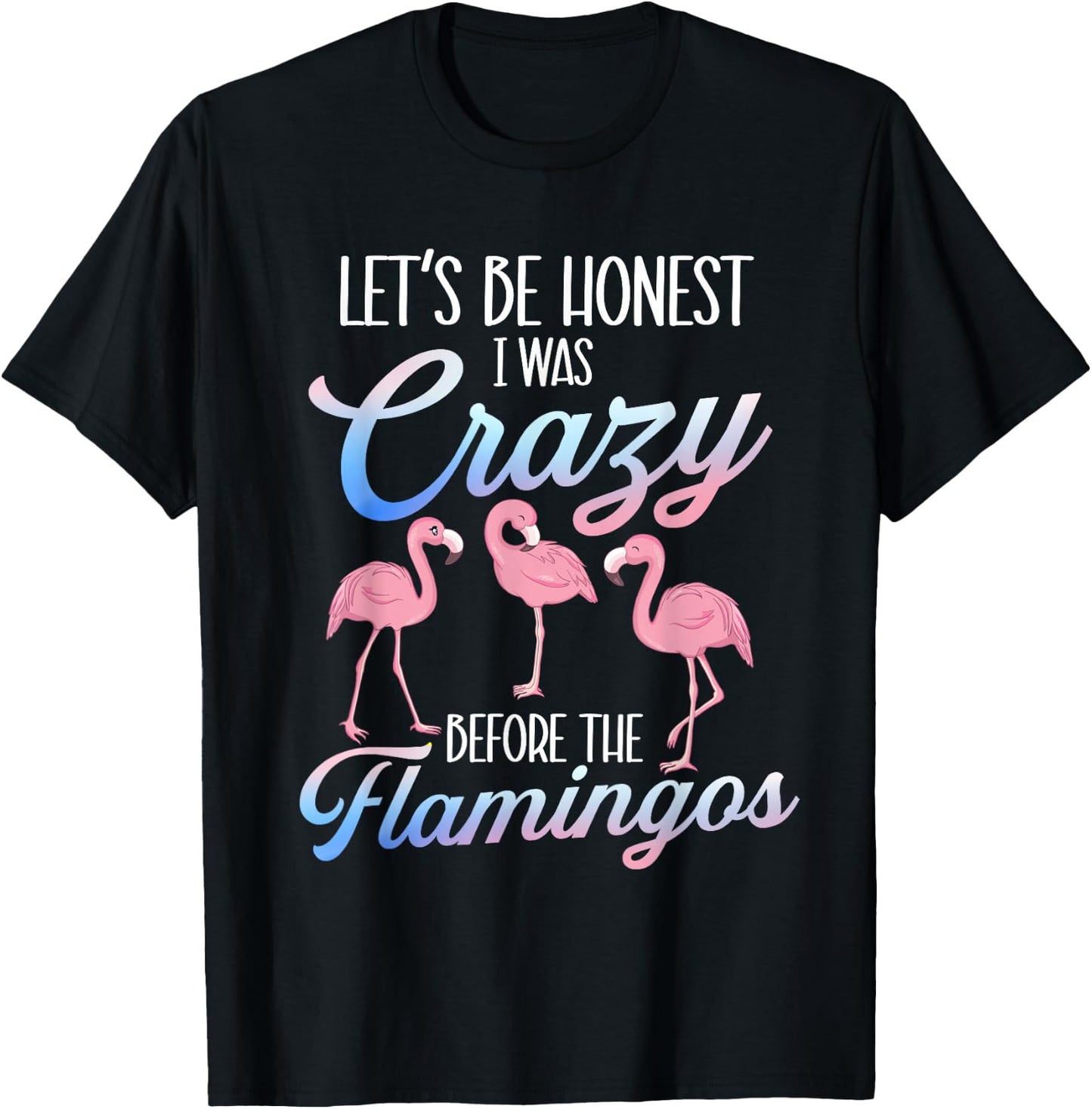 Let's Be Honest I Was Crazy Before - Flamingo Lover T-Shirt - T-Shirt | Black