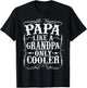 Papa Like a Grandpa Only Cooler Papa Vintage Father's Day T-Shirt - T-Shirt | Black