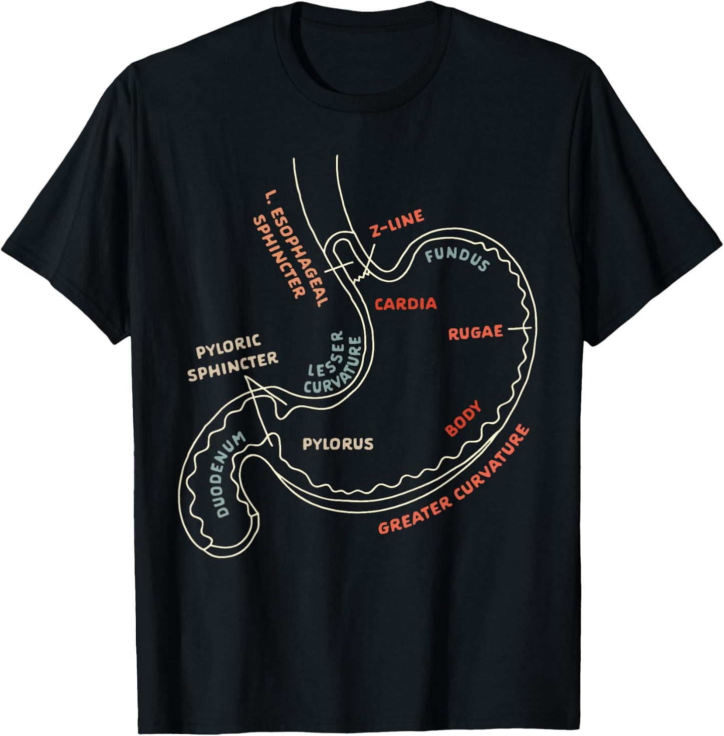 Gastroenterologist GI Nurse Gastroparesis Stomach Anatomy T-Shirt - T-Shirt | Black
