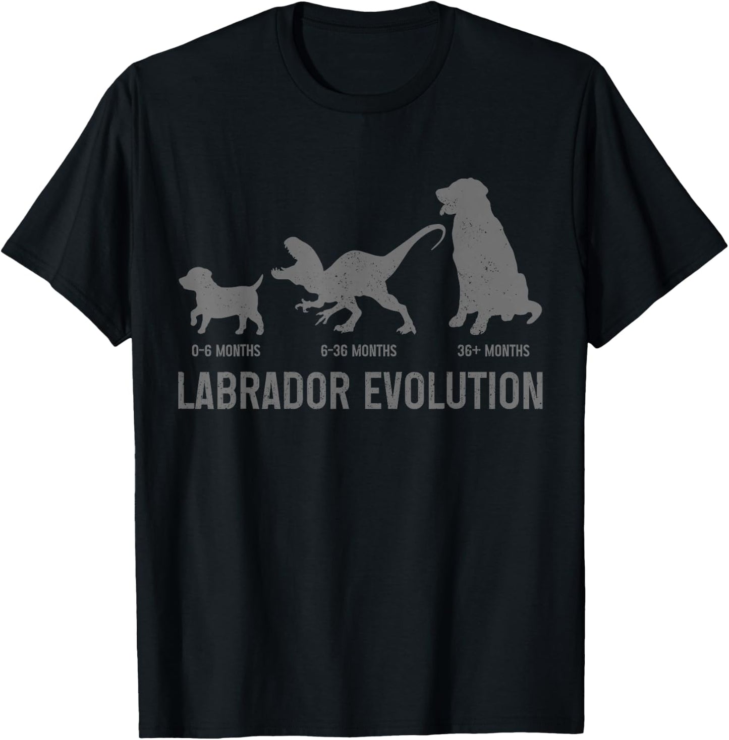 Labrador Evolution Funny Labrador Retriever Mom Dad Dog T-Shirt - T-Shirt | Black