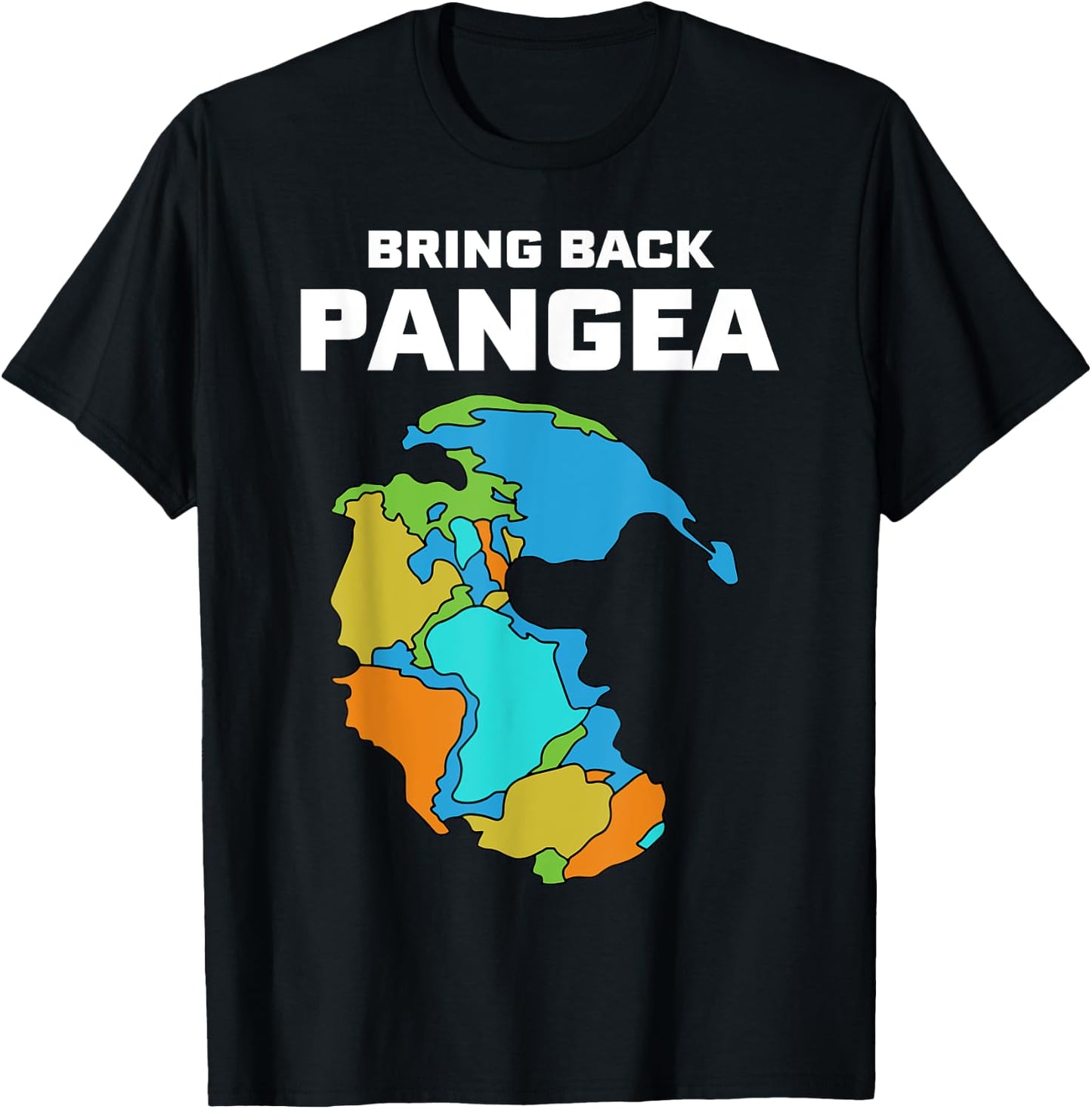 Bring Back Pangea Funny T-Shirt - T-Shirt | Black