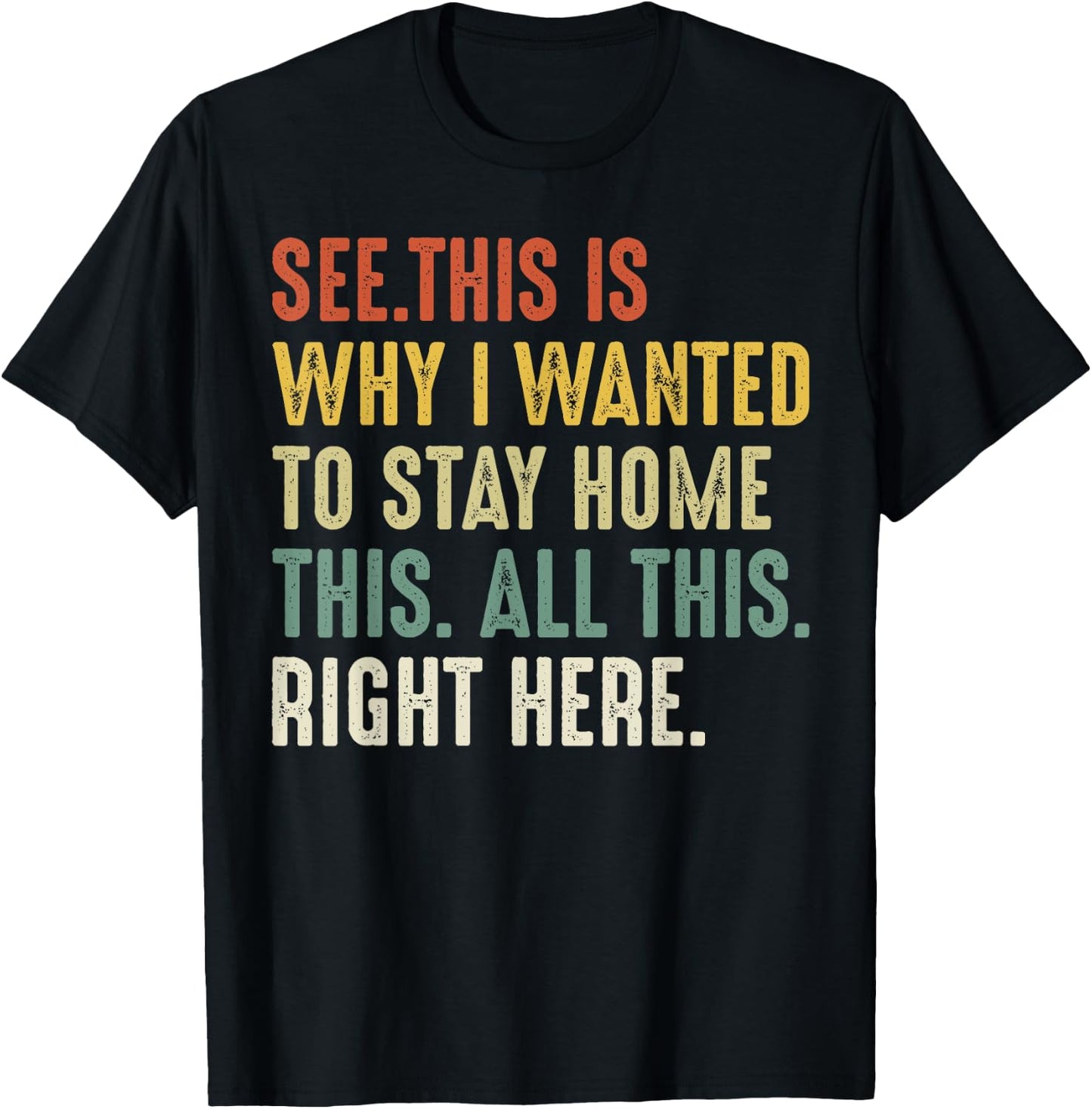 See This Is Why I Wanted To Stay Home This All This Right T-Shirt - T-Shirt | Black