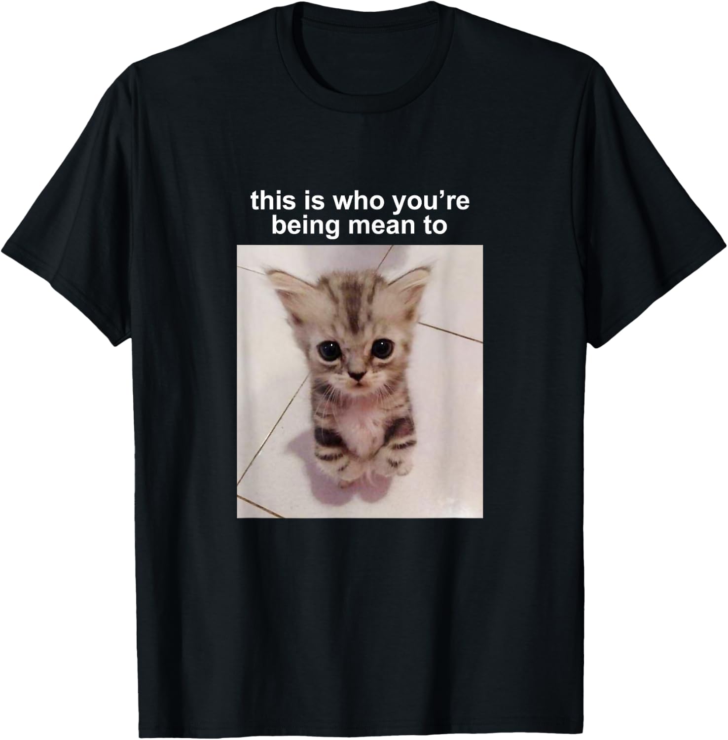 This is Who You're Being Mean to Silly Cat Meme T-Shirt - T-Shirt | Black