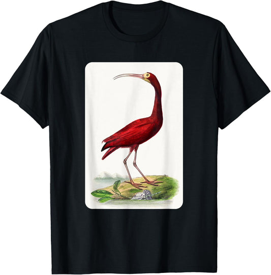 Vintage Scarlet Ibis Bird Illustration Animal Lover T-Shirt - T-Shirt | Black
