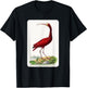 Vintage Scarlet Ibis Bird Illustration Animal Lover T-Shirt - T-Shirt | Black